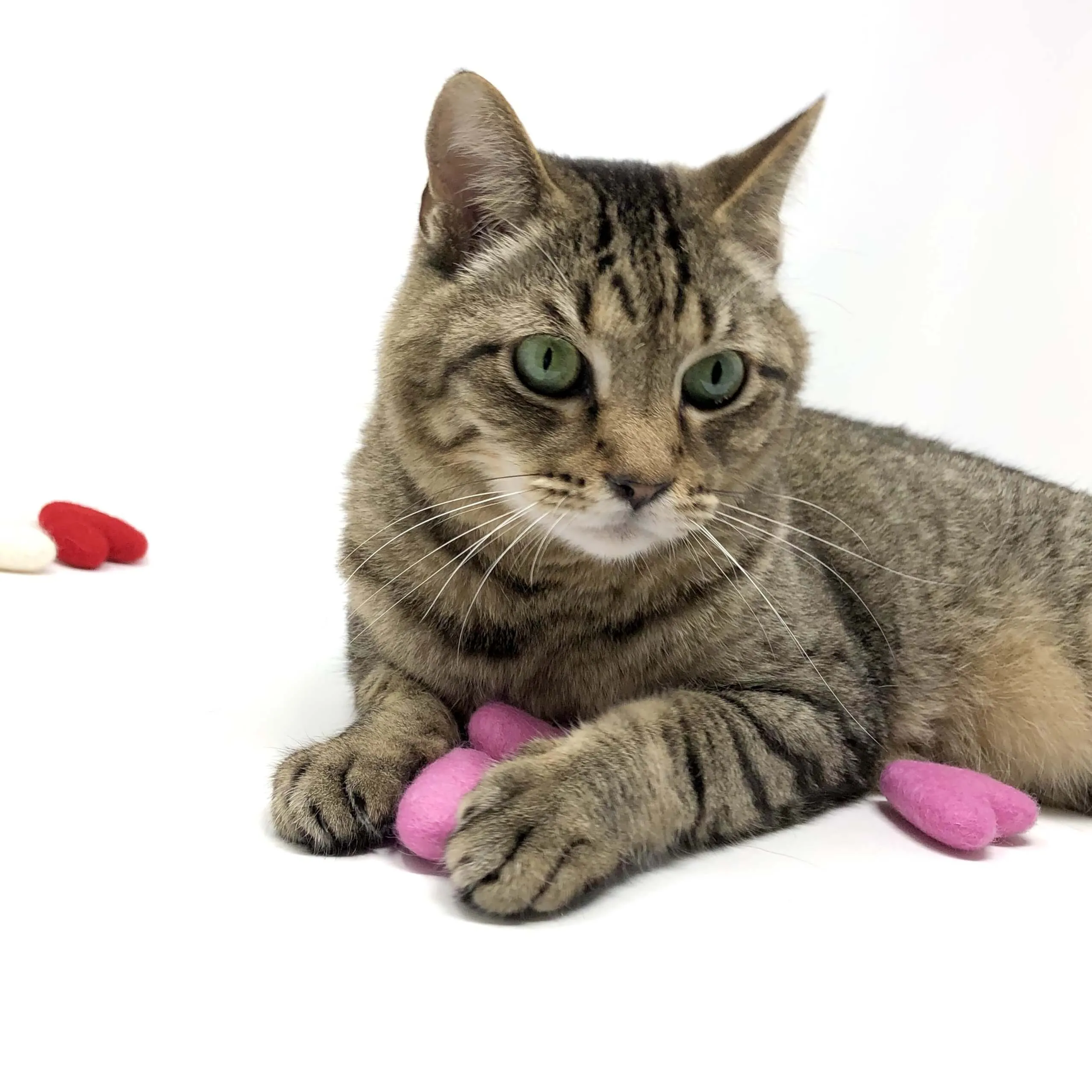 5 Wool Felted Heart Shape Cat Toys Red/Pink/White