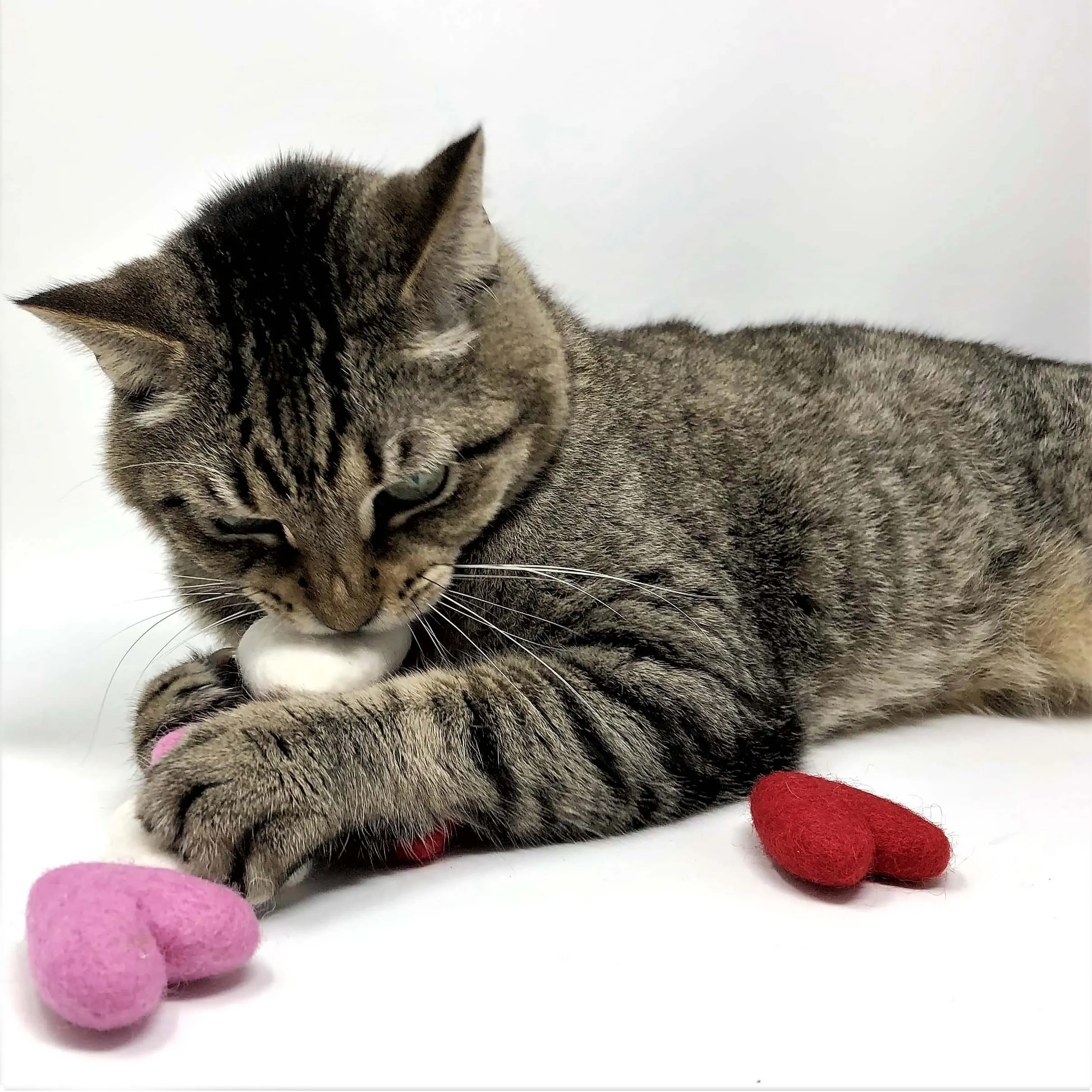 5 Wool Felted Heart Shape Cat Toys Red/Pink/White
