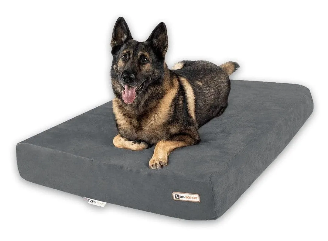 7" Orthopedic Dog Bed