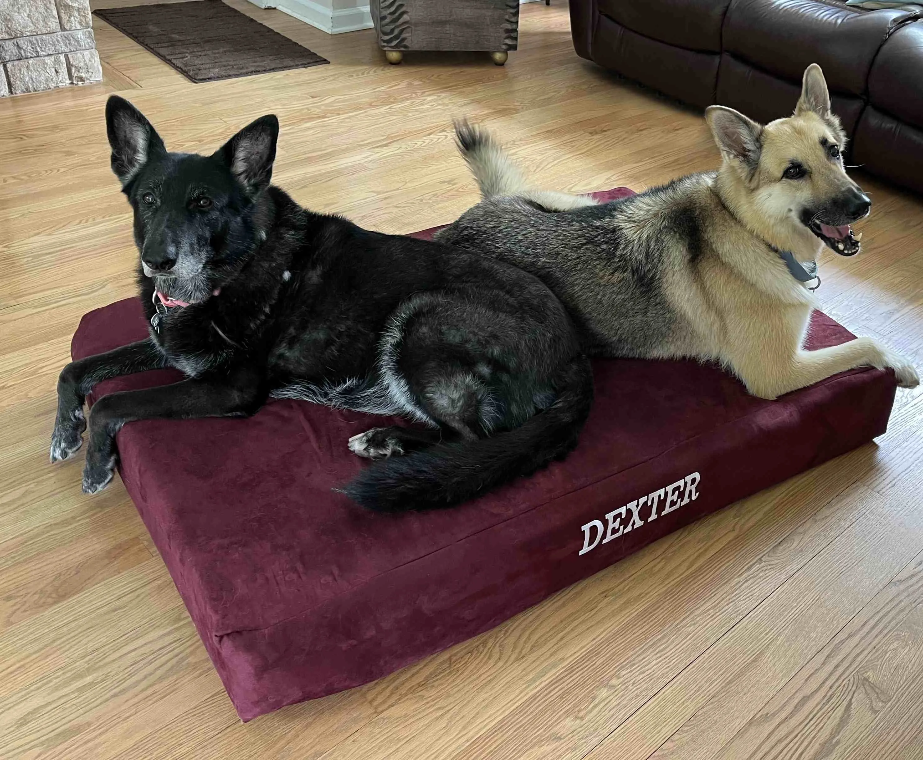 7" Orthopedic Dog Bed