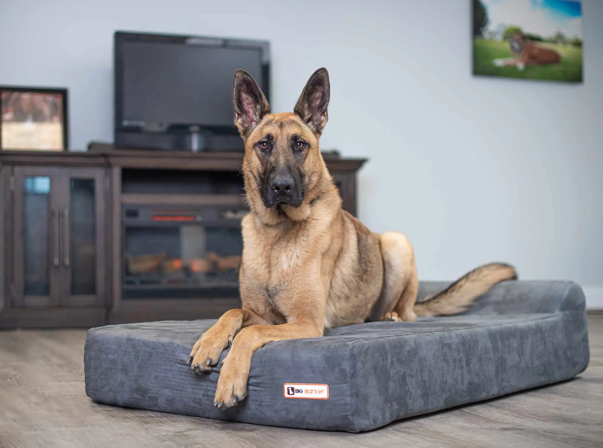 7" Orthopedic Dog Bed