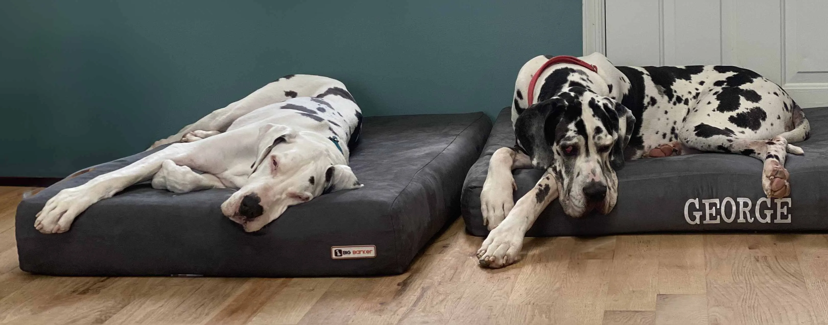 7" Orthopedic Dog Bed