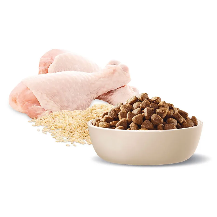 Advance Healthy Ageing All Breed Chicken And Rice 15kg
