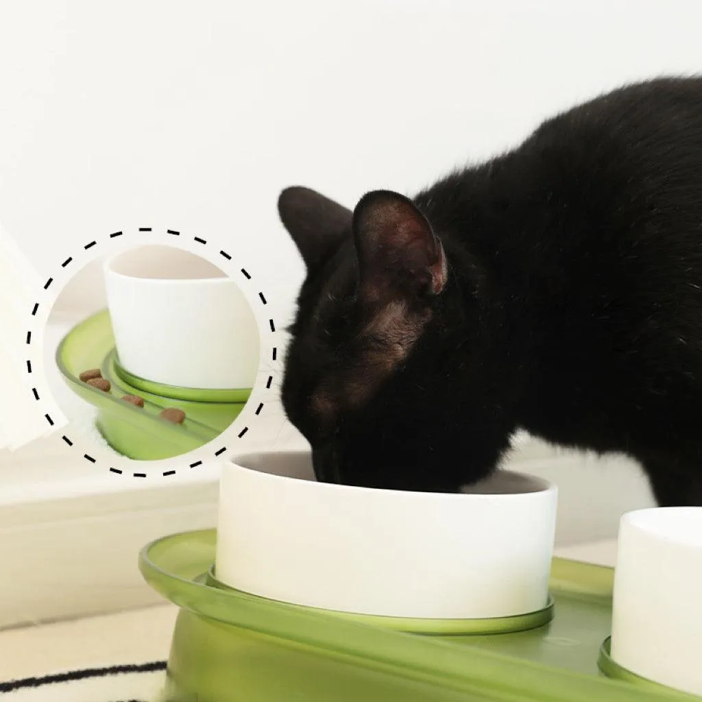 Anti-Spill Angled Pet Bowl