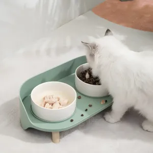 Anti-Spill Elevated Pet Bowl Feeder