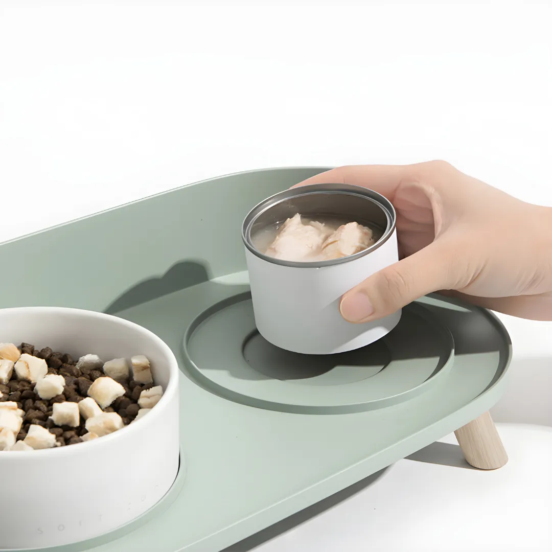 Anti-Spill Elevated Pet Bowl Feeder