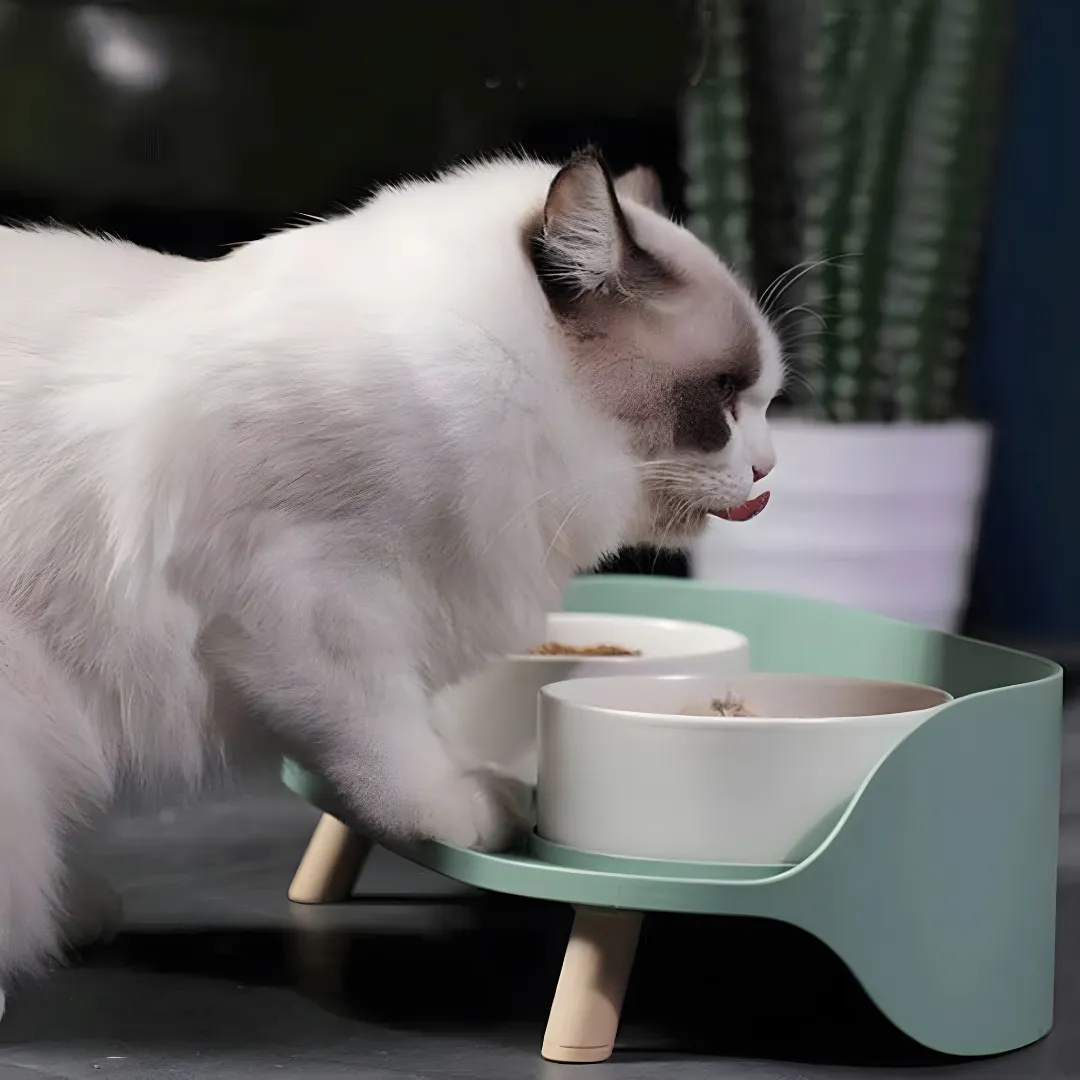 Anti-Spill Elevated Pet Bowl Feeder
