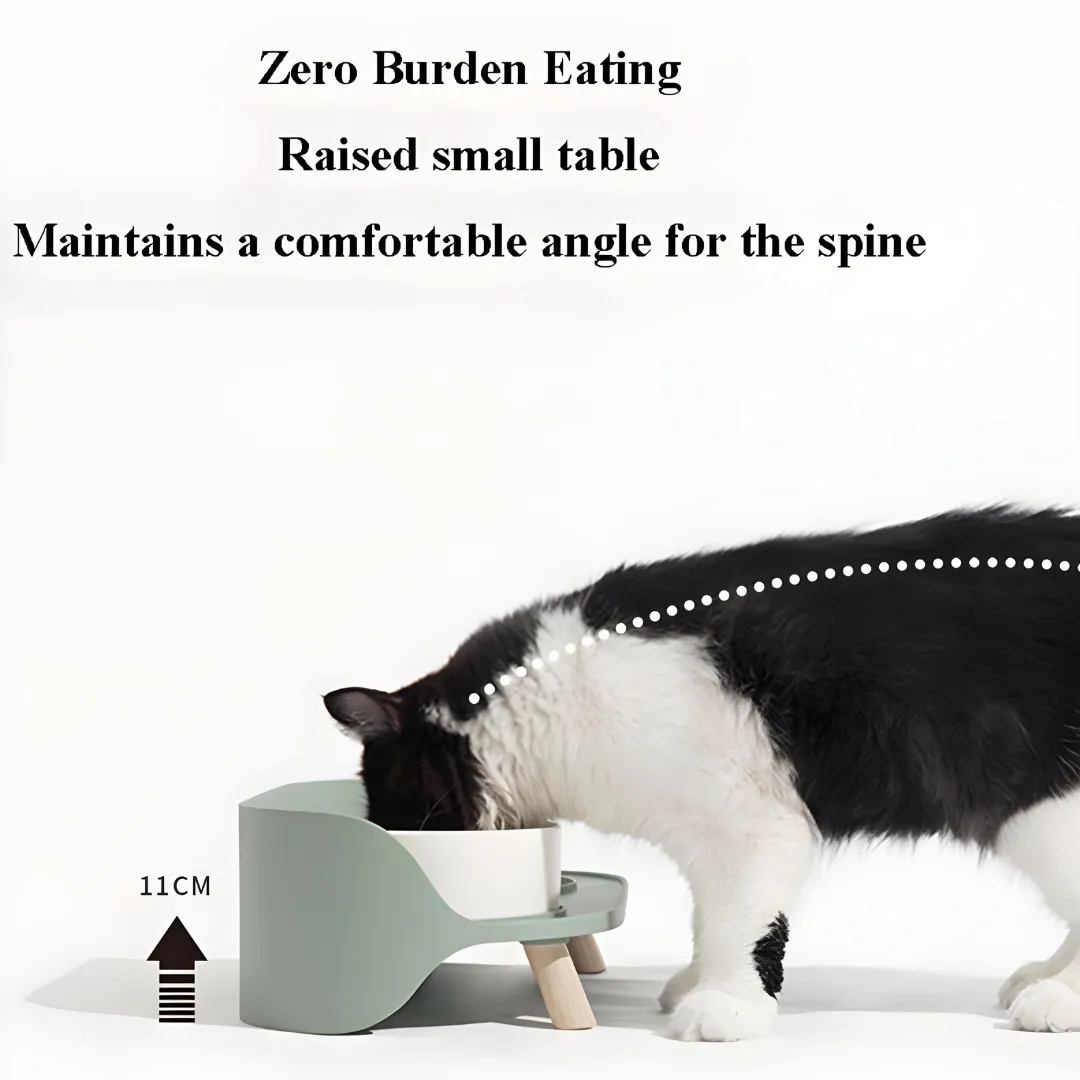Anti-Spill Elevated Pet Bowl Feeder