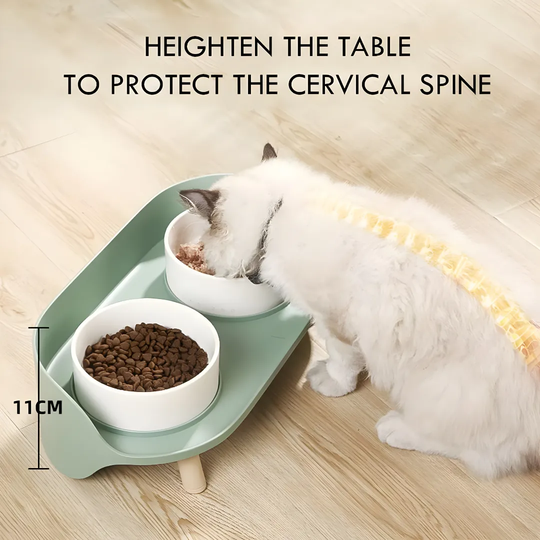 Anti-Spill Elevated Pet Bowl Feeder