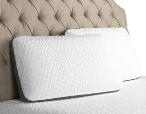 Bamboo Charcoal Foam and Cooling Gel Pillow