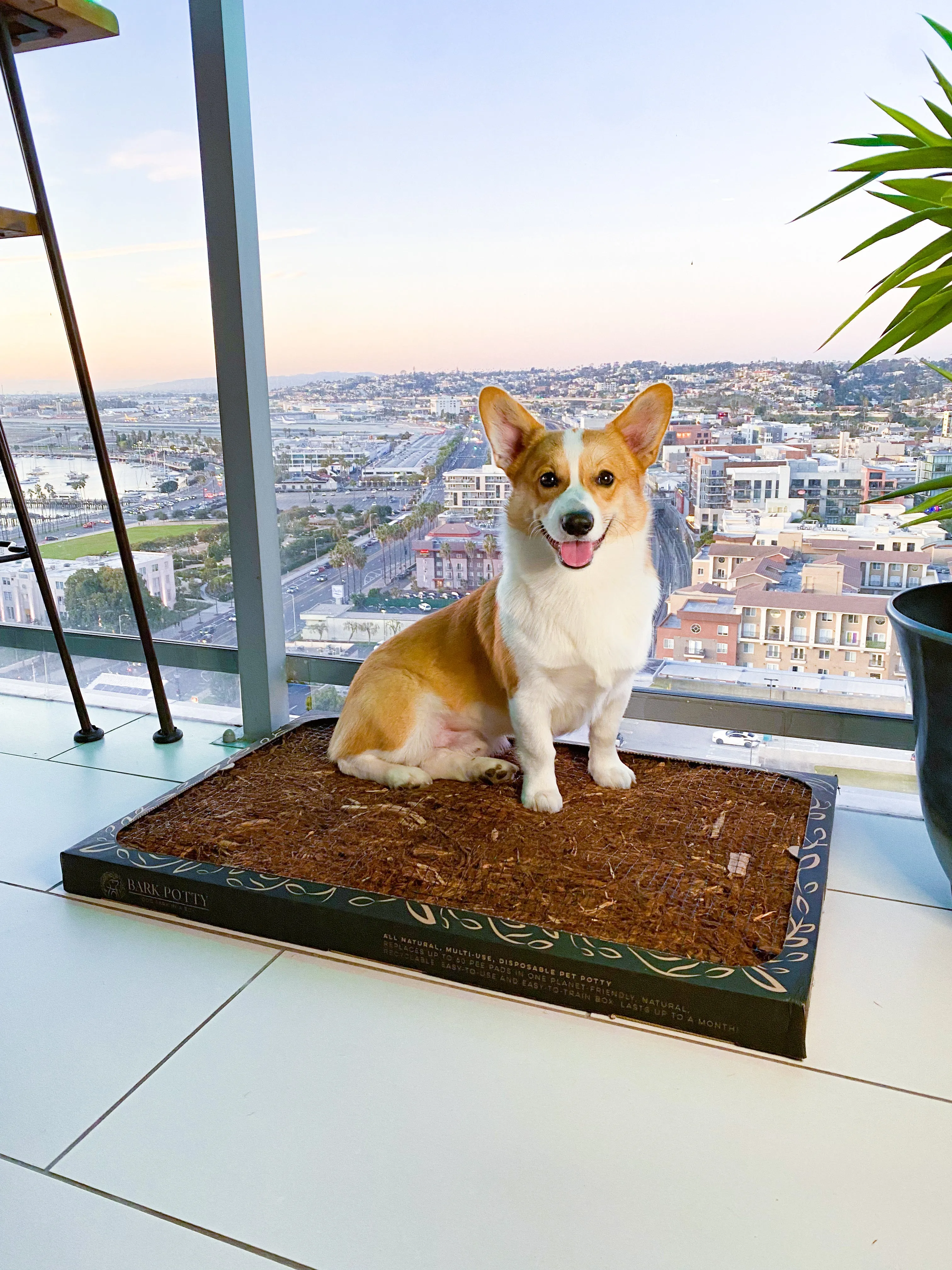 Bark Potty: All Natural Pee Pad