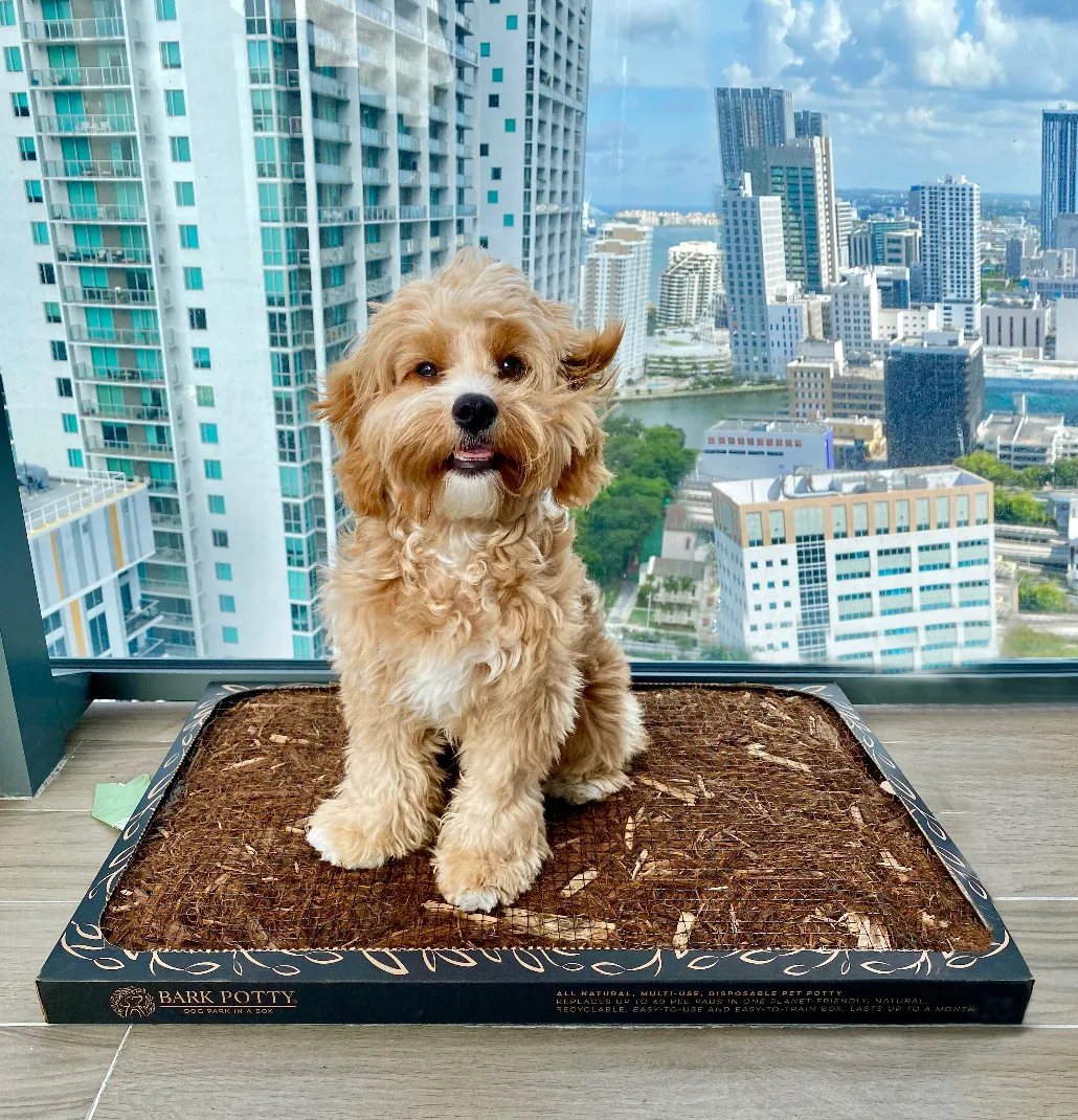 Bark Potty: All Natural Pee Pad