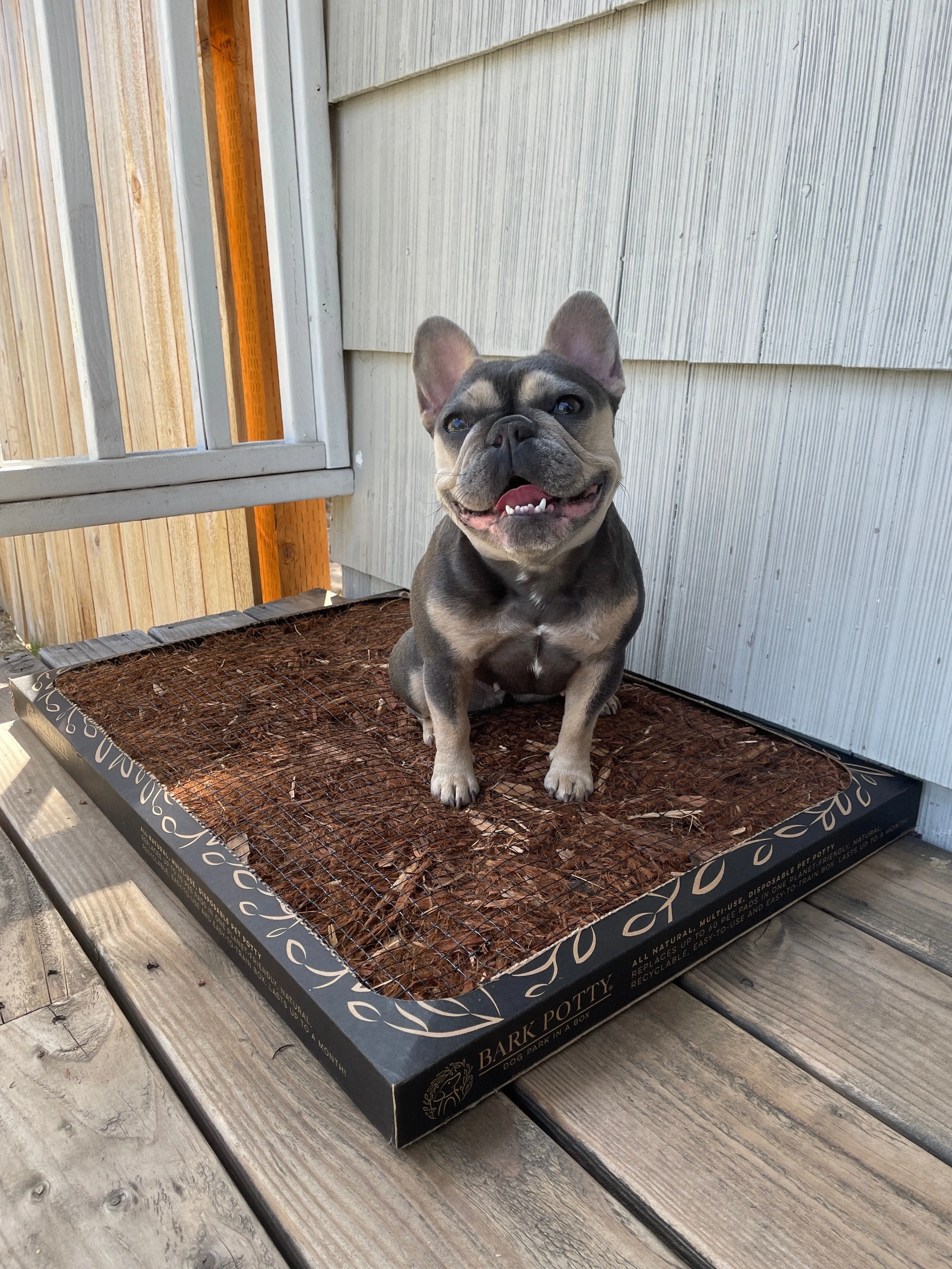 Bark Potty: All Natural Pee Pad