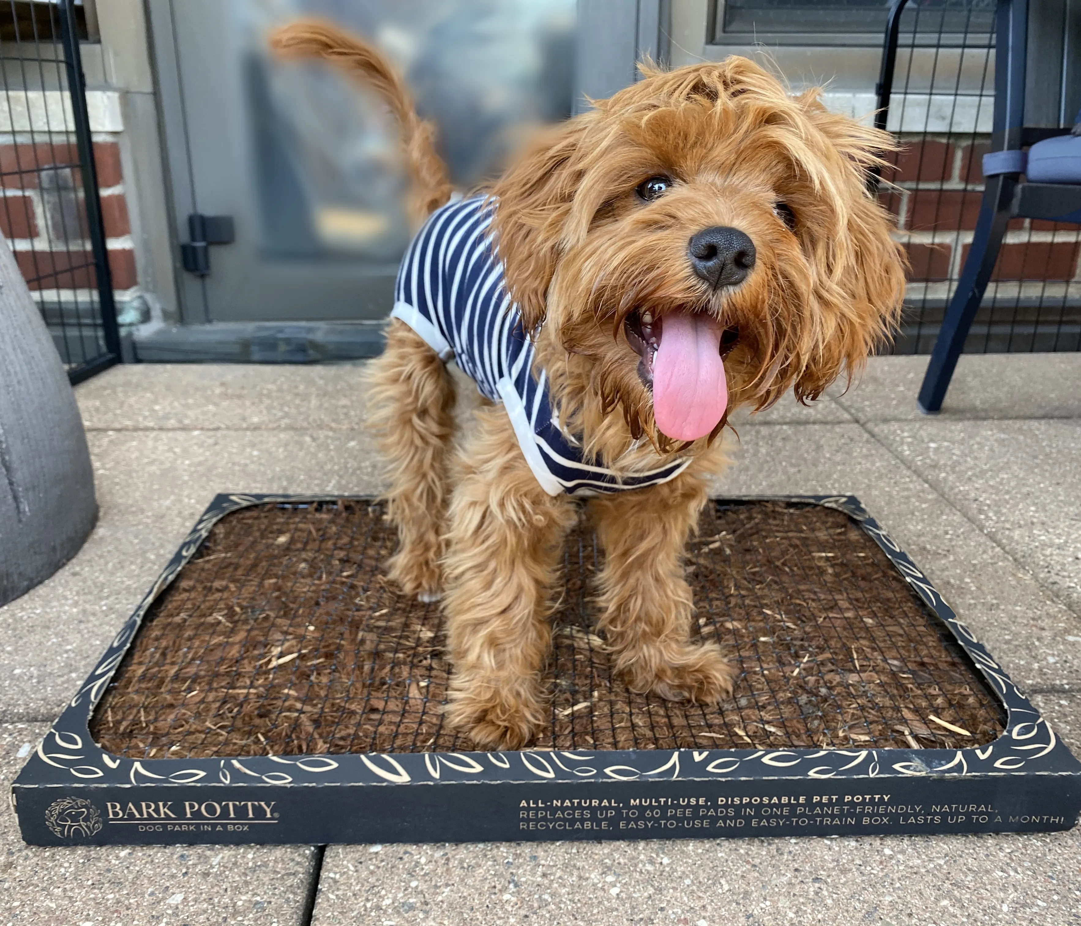 Bark Potty: All Natural Pee Pad