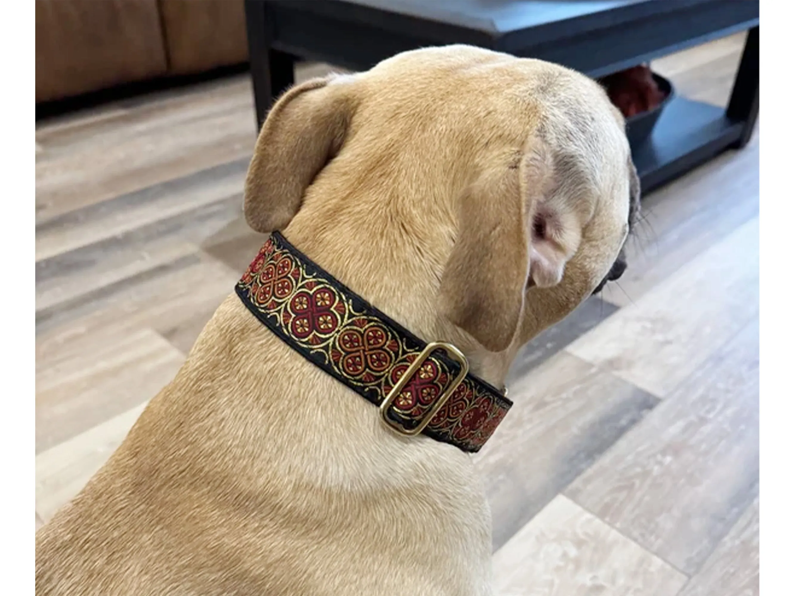 Blarney in Black, Red & Orange - Martingale or Buckle Dog Collar - 1.5" Width