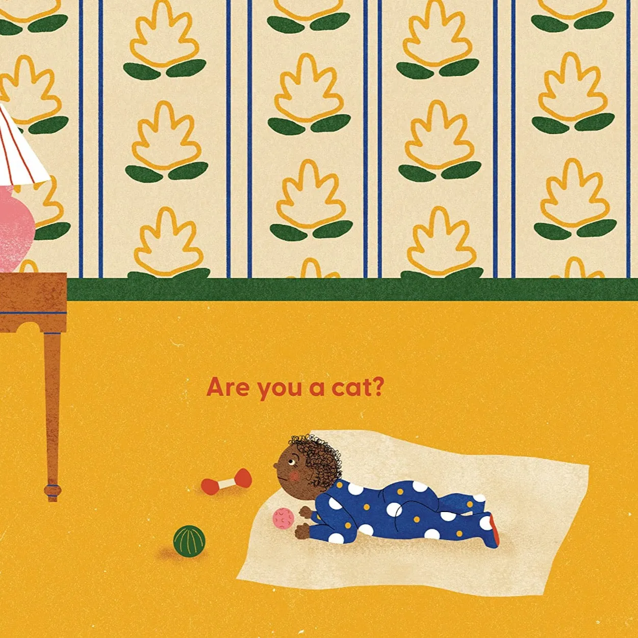 Cat's First Baby - Board Book