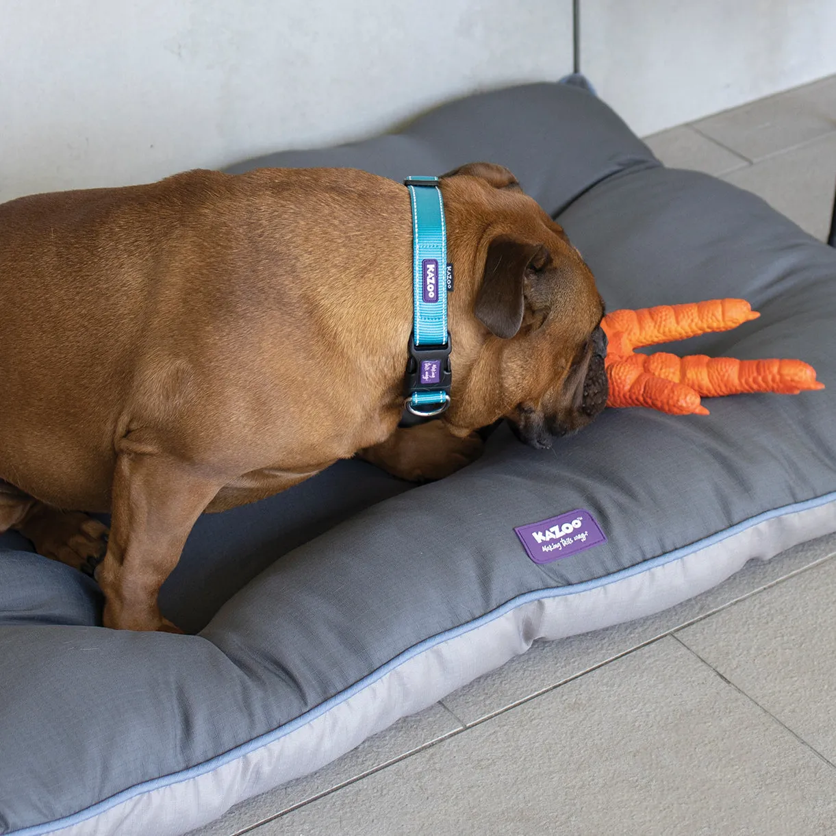 Chook Foot Squeaky Dog Toy