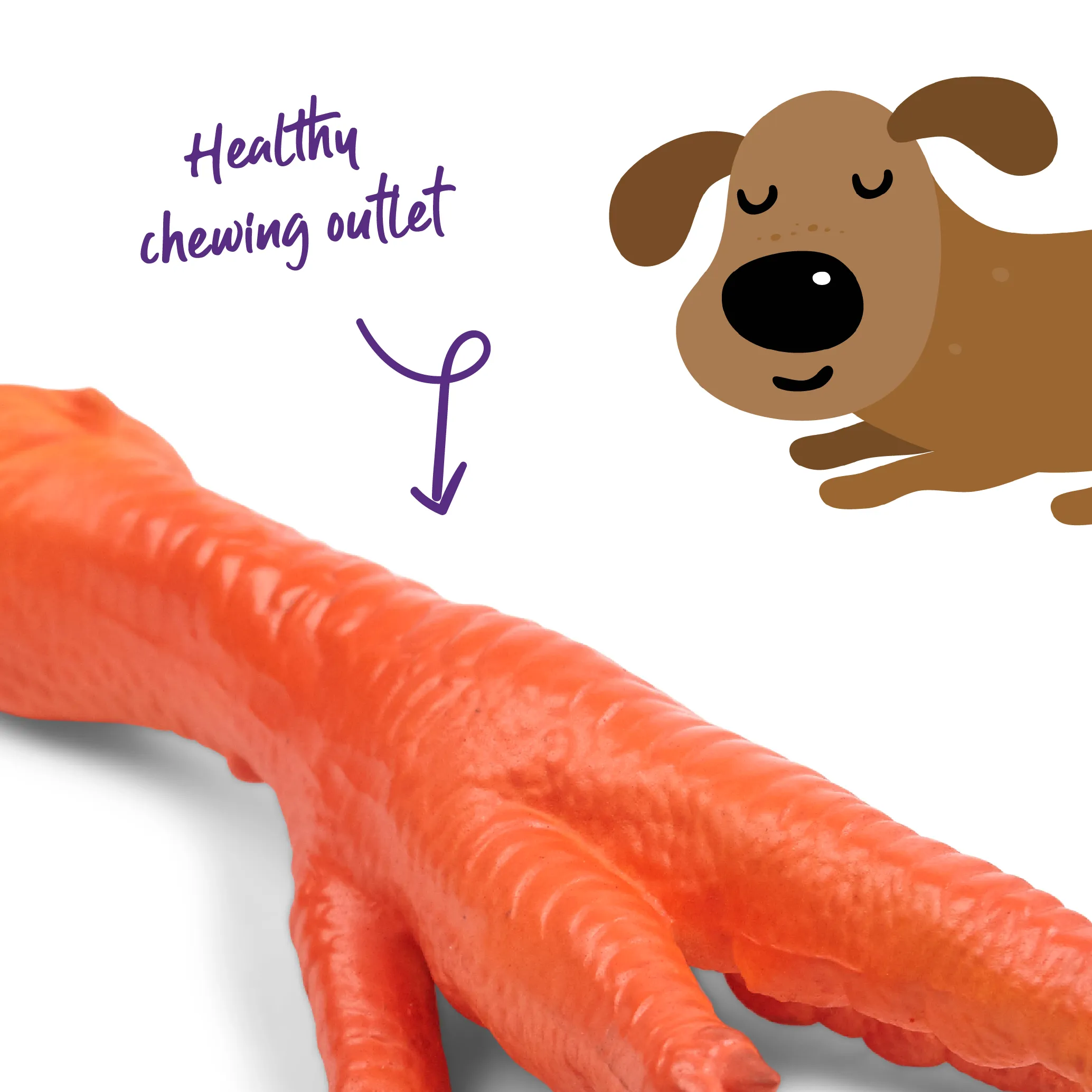 Chook Foot Squeaky Dog Toy