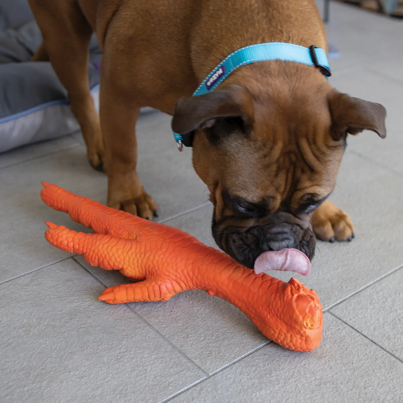 Chook Foot Squeaky Dog Toy