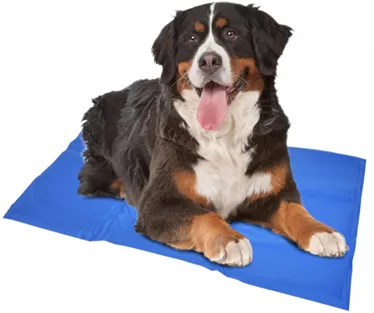 COOLING MAT BLUE