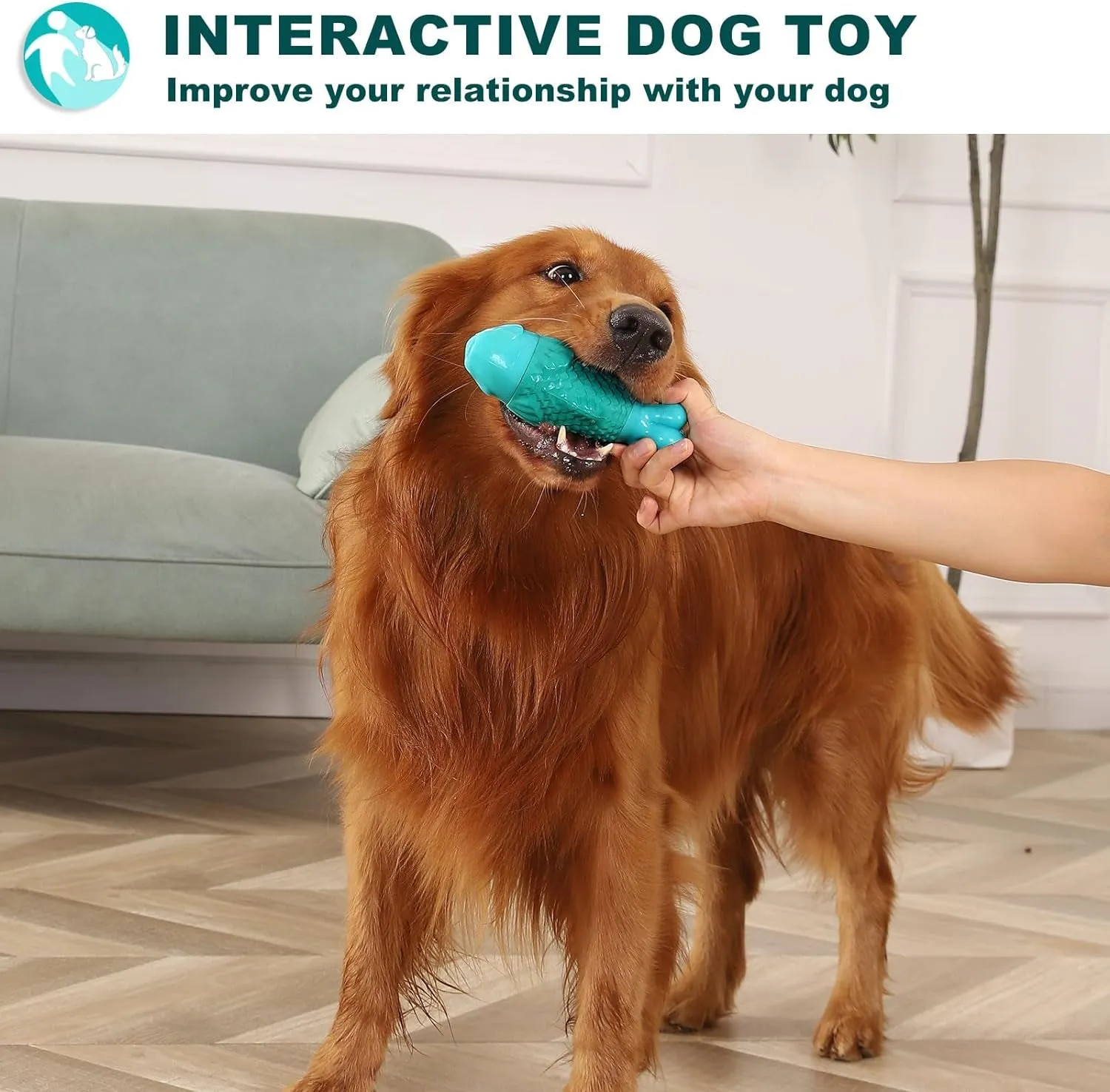 Dog Chew Toys