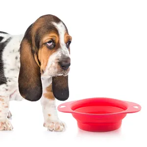 Folding Pet Bowl Heart