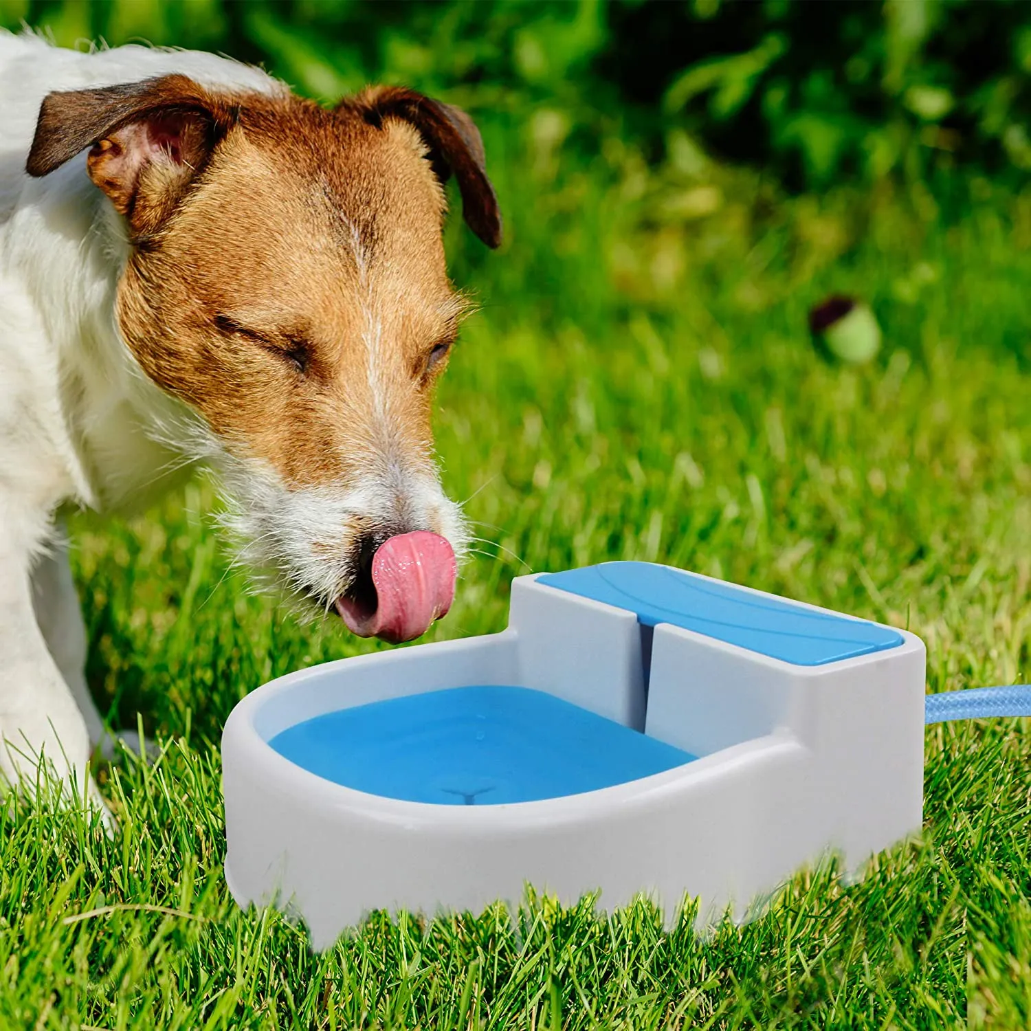 Garden Auto Filling Fountain