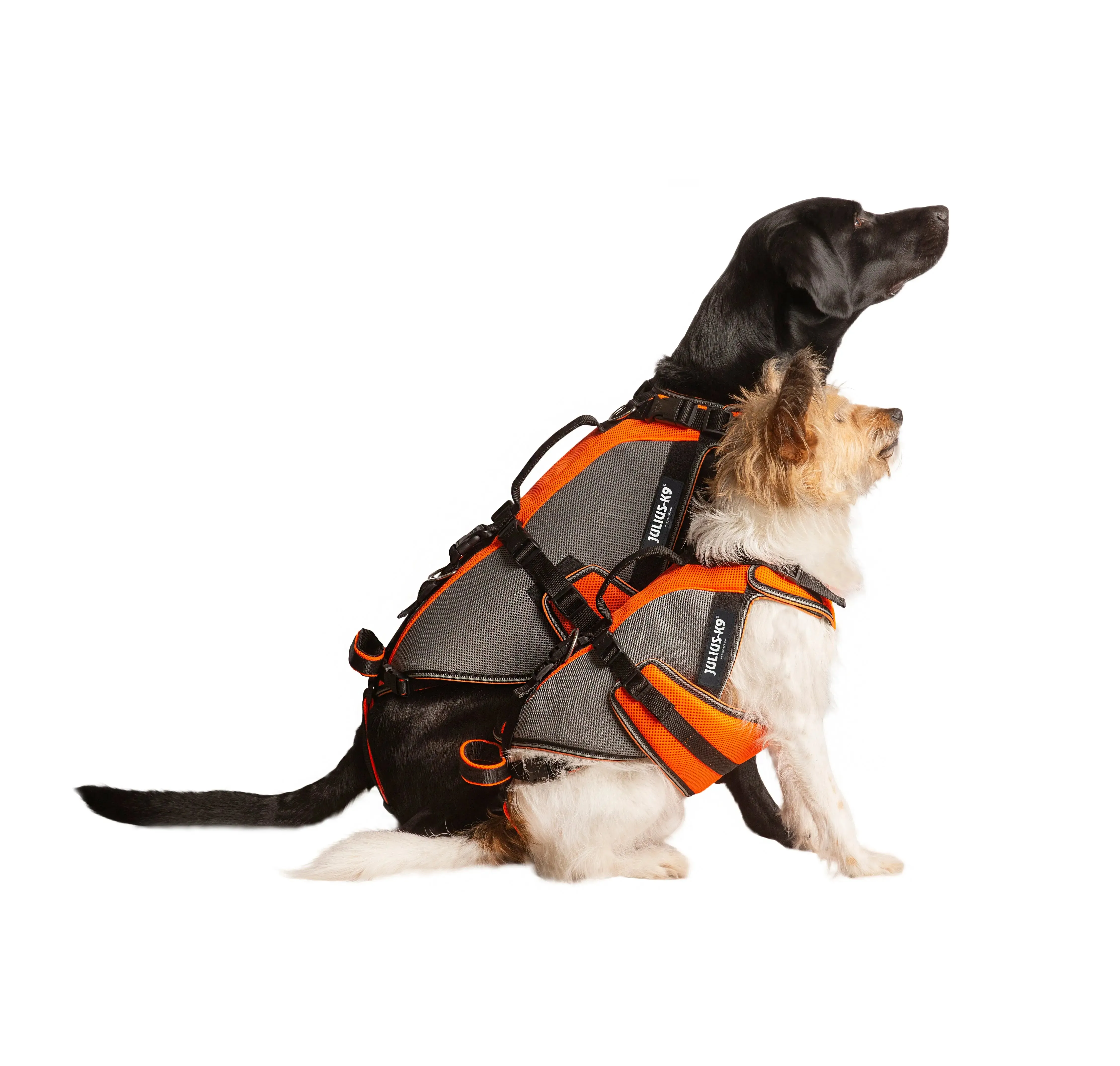 JK9®Multivest/ Swimming Vest