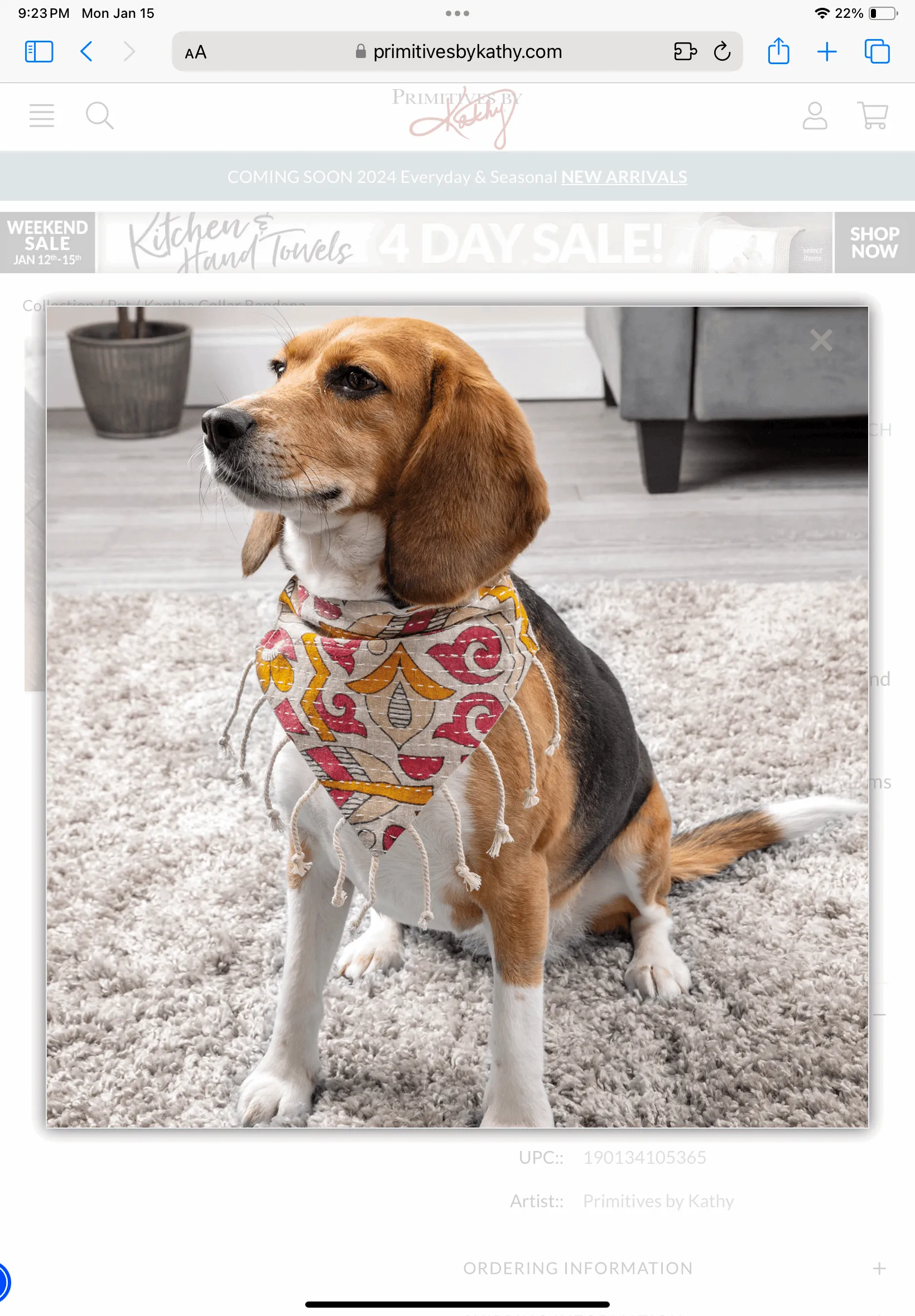 Kantha Collar Bandana - Large