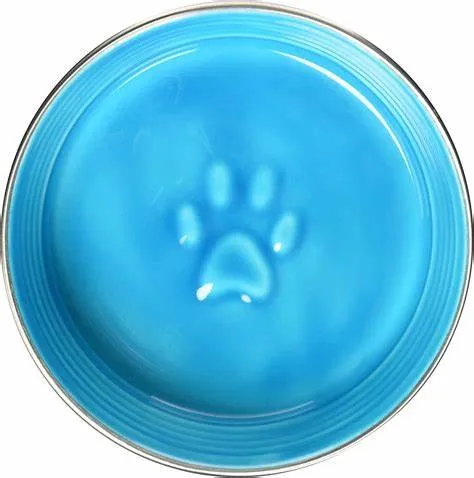 Le Bol Large Dog Bowl
