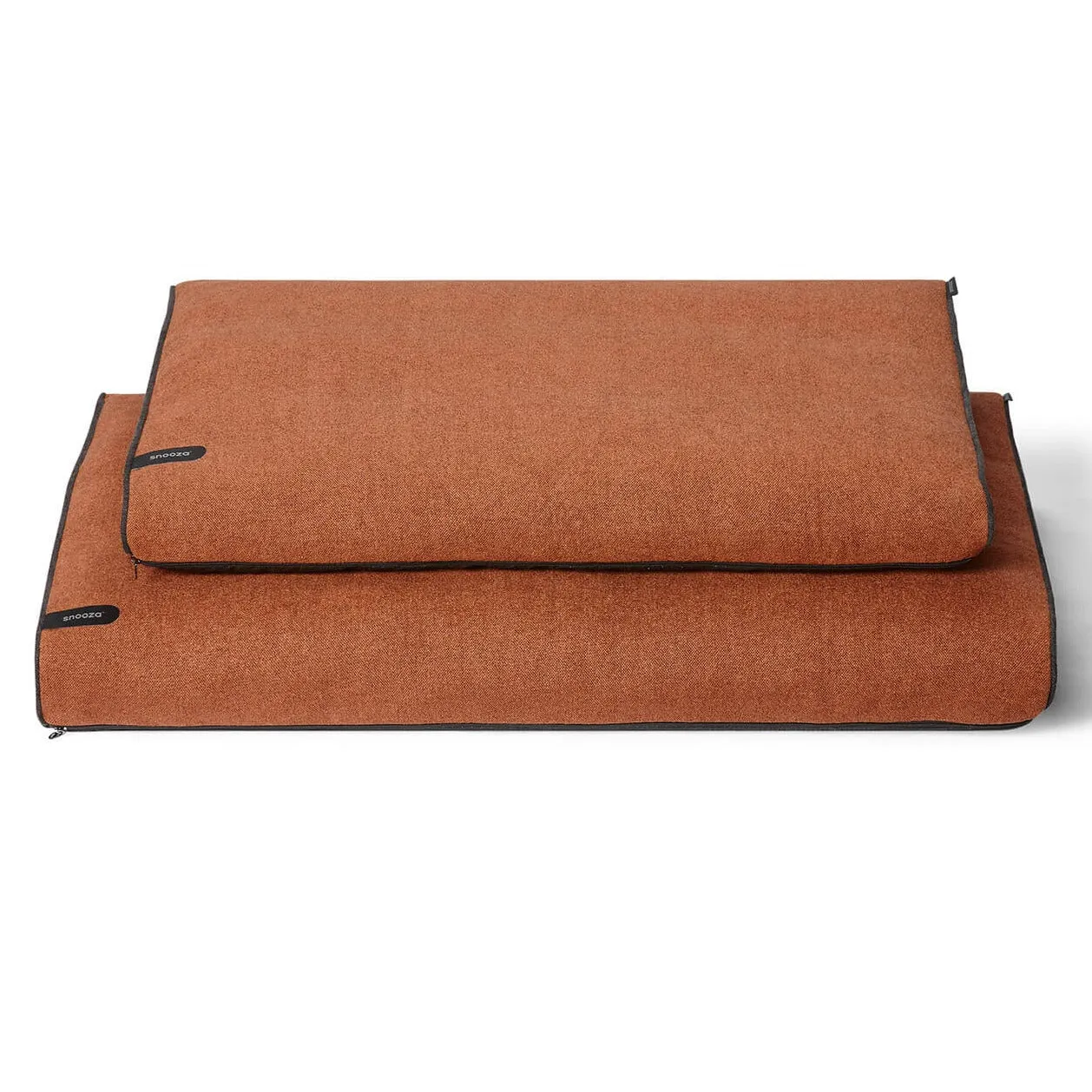 Modern Dog Daybed