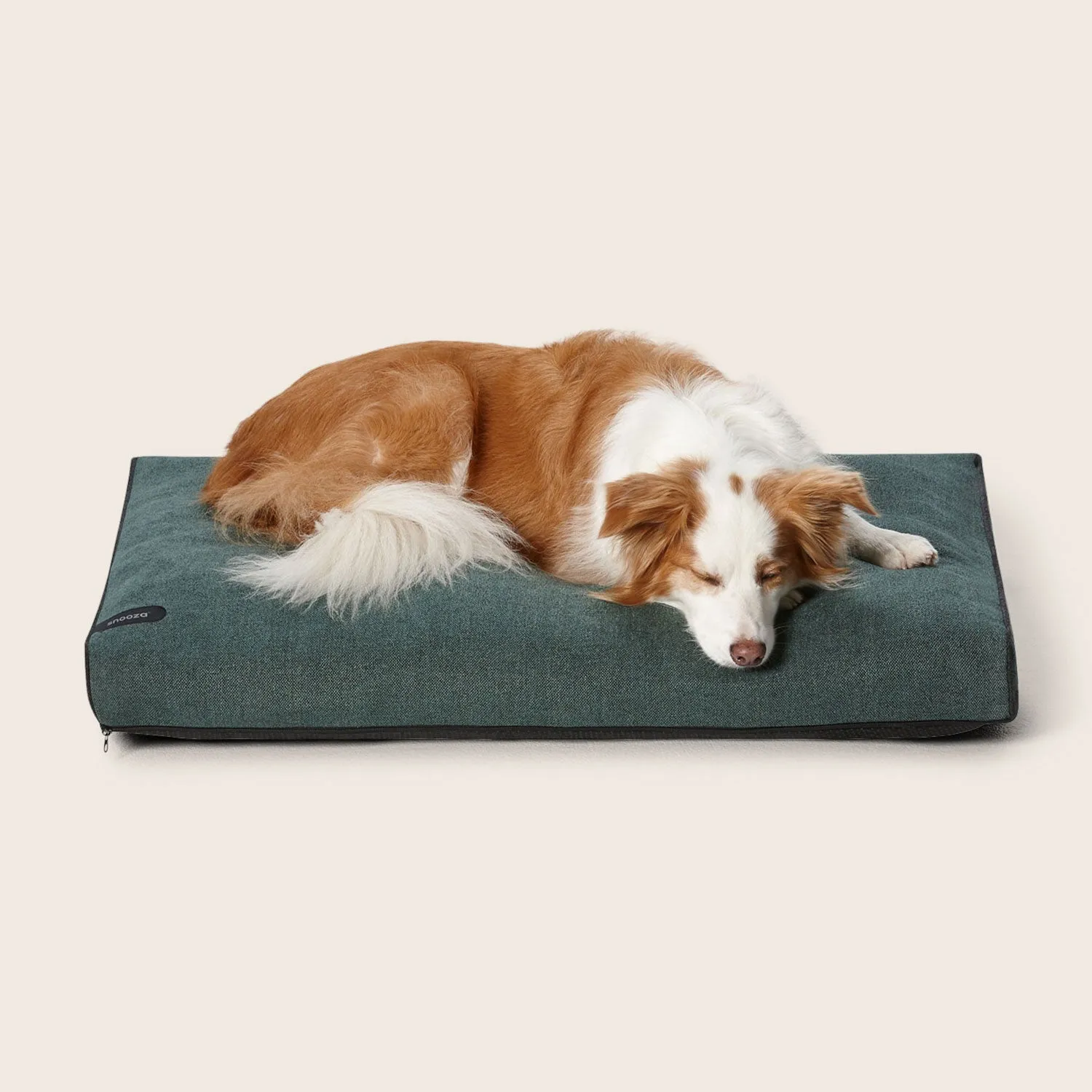Modern Dog Daybed