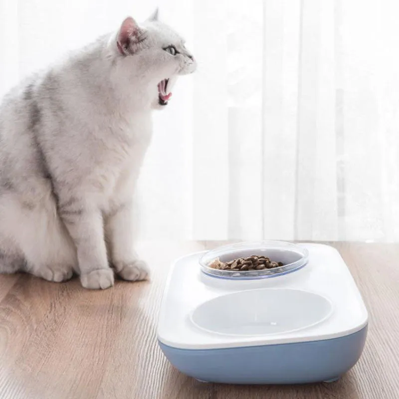 Oblique mouth double bowl to protect cervical spine pet food bowl and drinking bowl