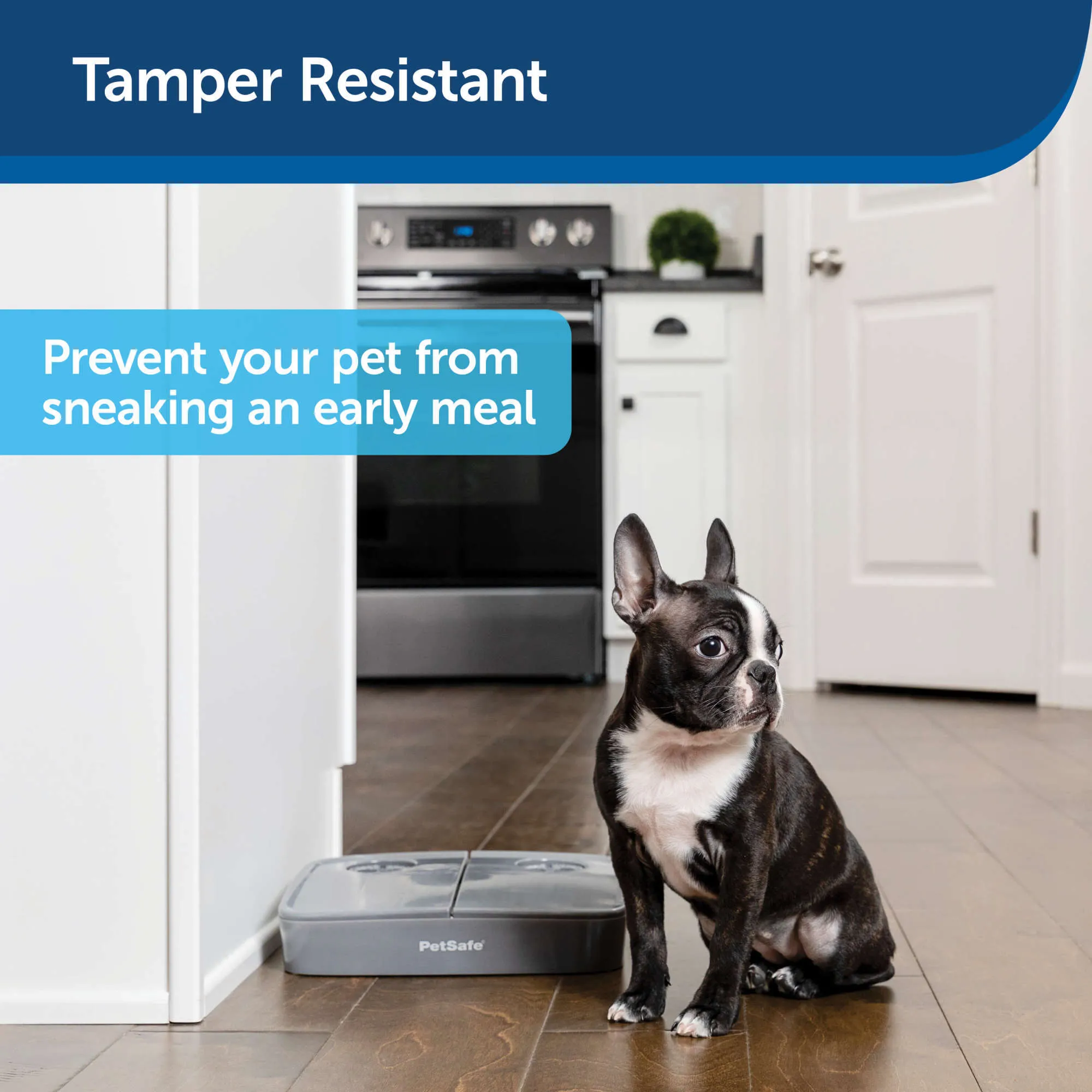 PetSafe Automatic 2 Meal Pet Feeder