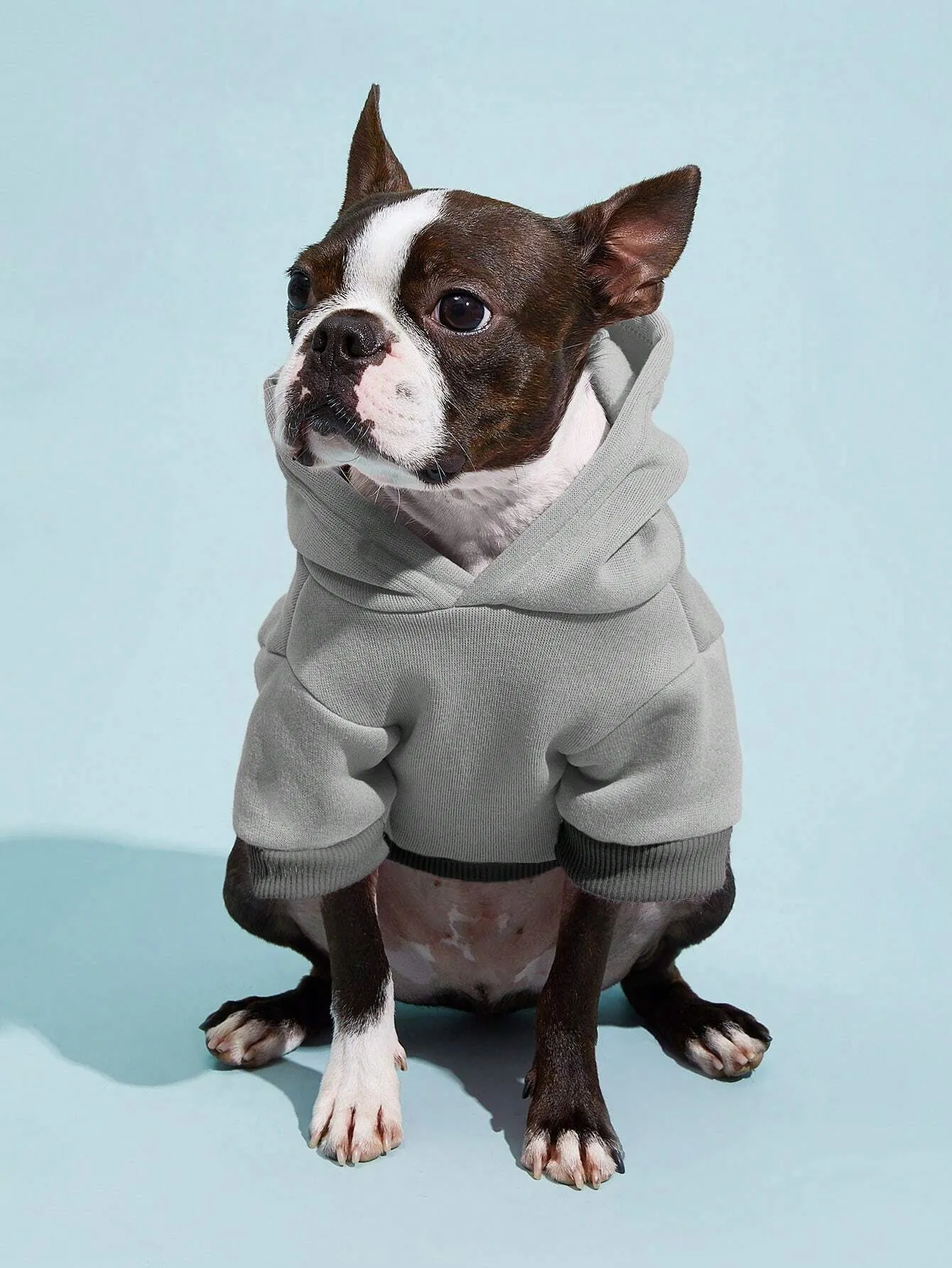 PETSIN 1pc Pet Khaki Sweatshirt