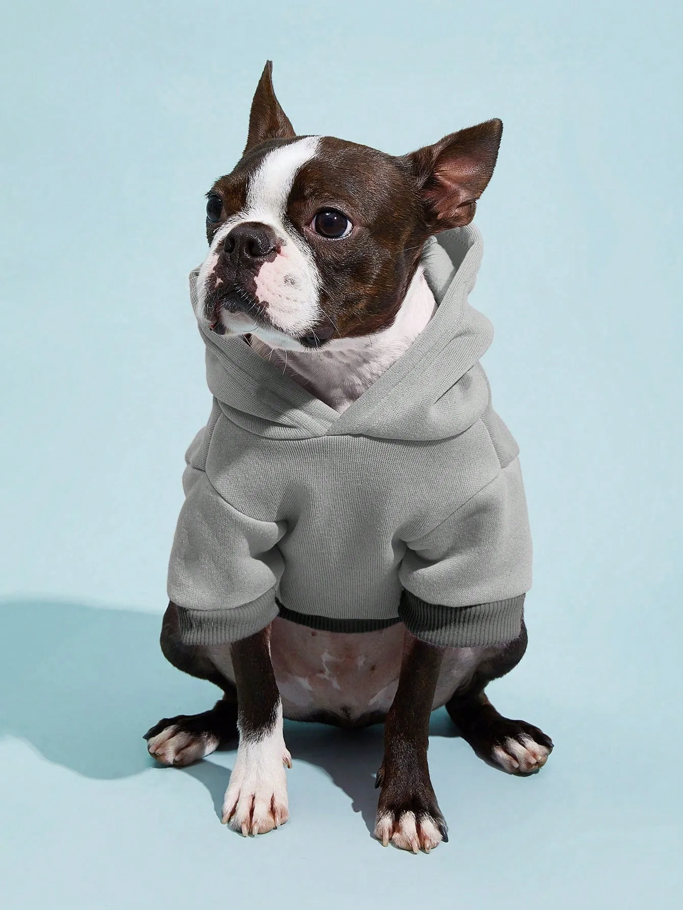 PETSIN 1pc Pet Khaki Sweatshirt
