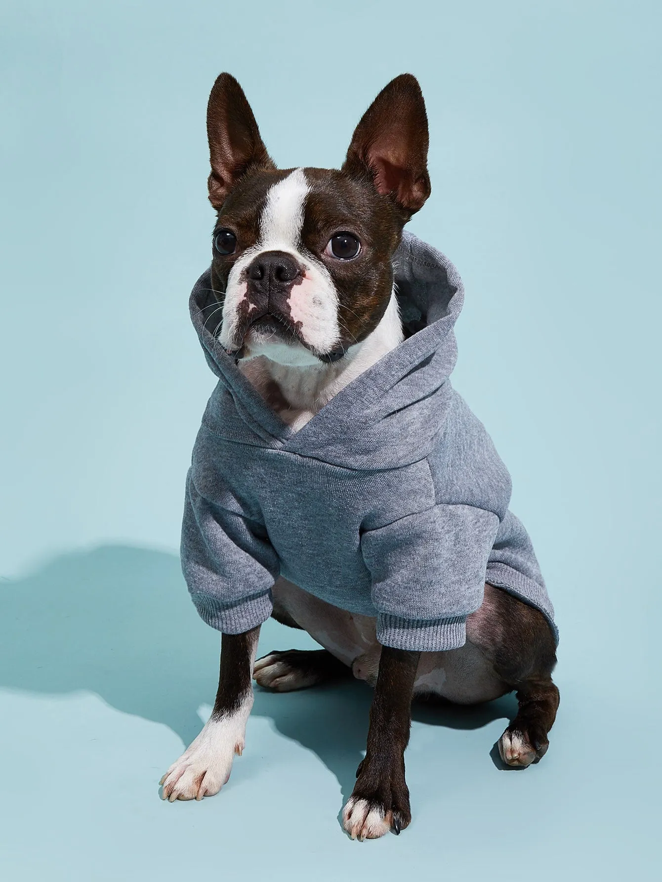 PETSIN 1pc Pet Khaki Sweatshirt