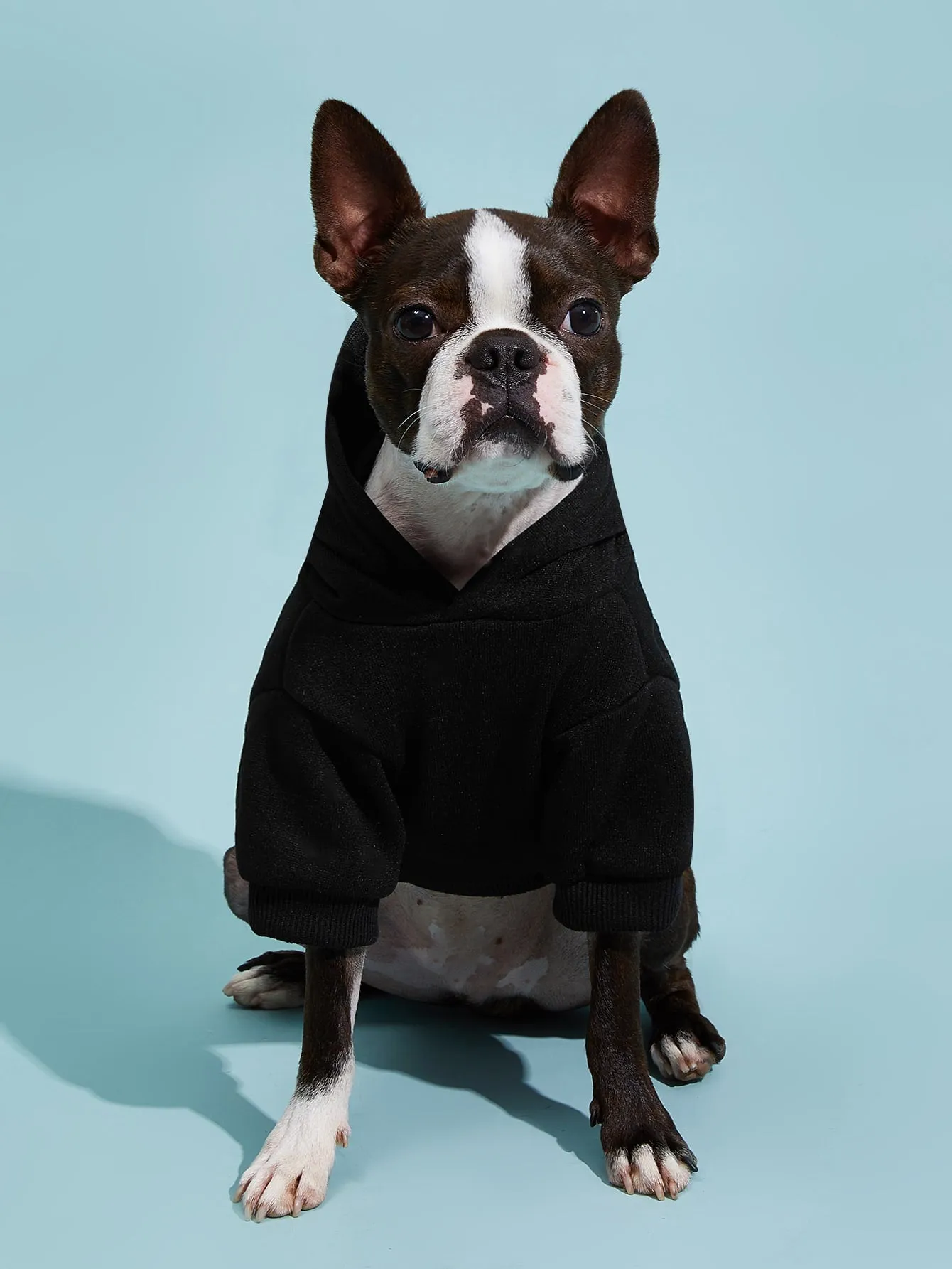 PETSIN 1pc Pet Khaki Sweatshirt