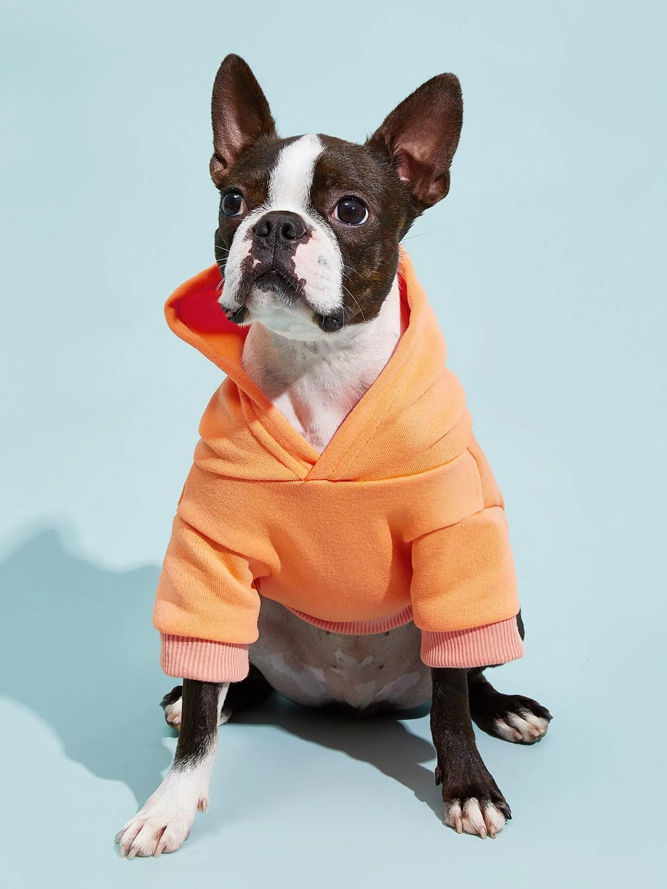 PETSIN 1pc Pet Khaki Sweatshirt