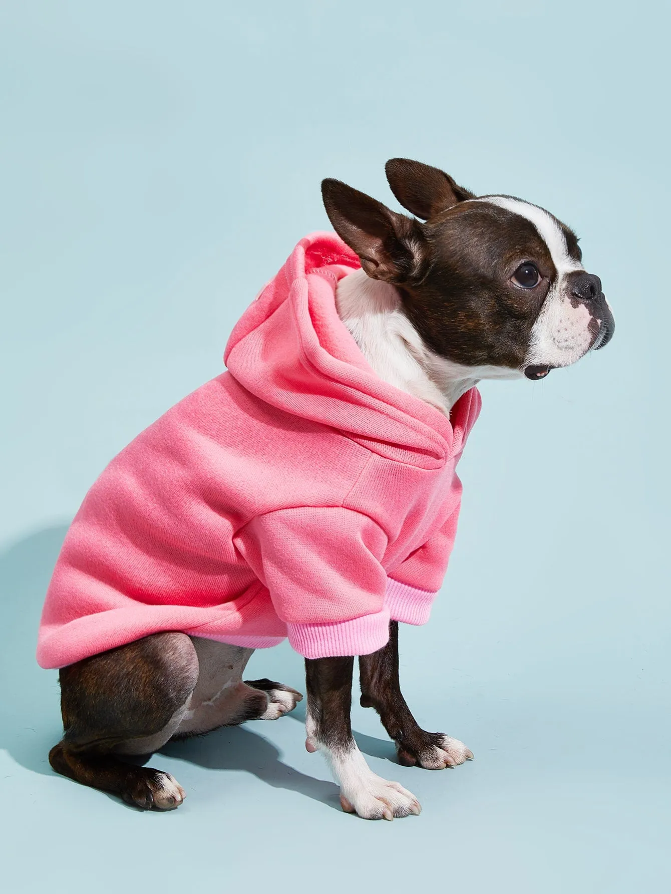 PETSIN 1pc Pet Khaki Sweatshirt