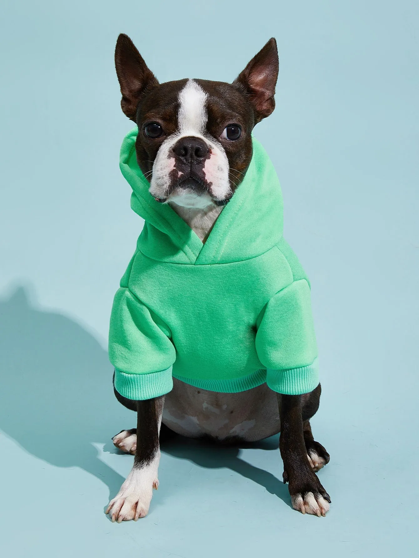 PETSIN 1pc Pet Khaki Sweatshirt