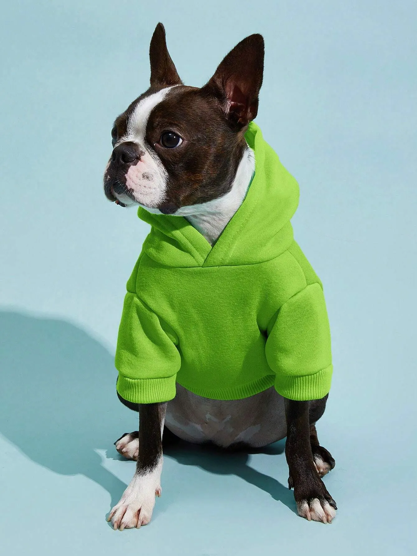 PETSIN 1pc Pet Khaki Sweatshirt