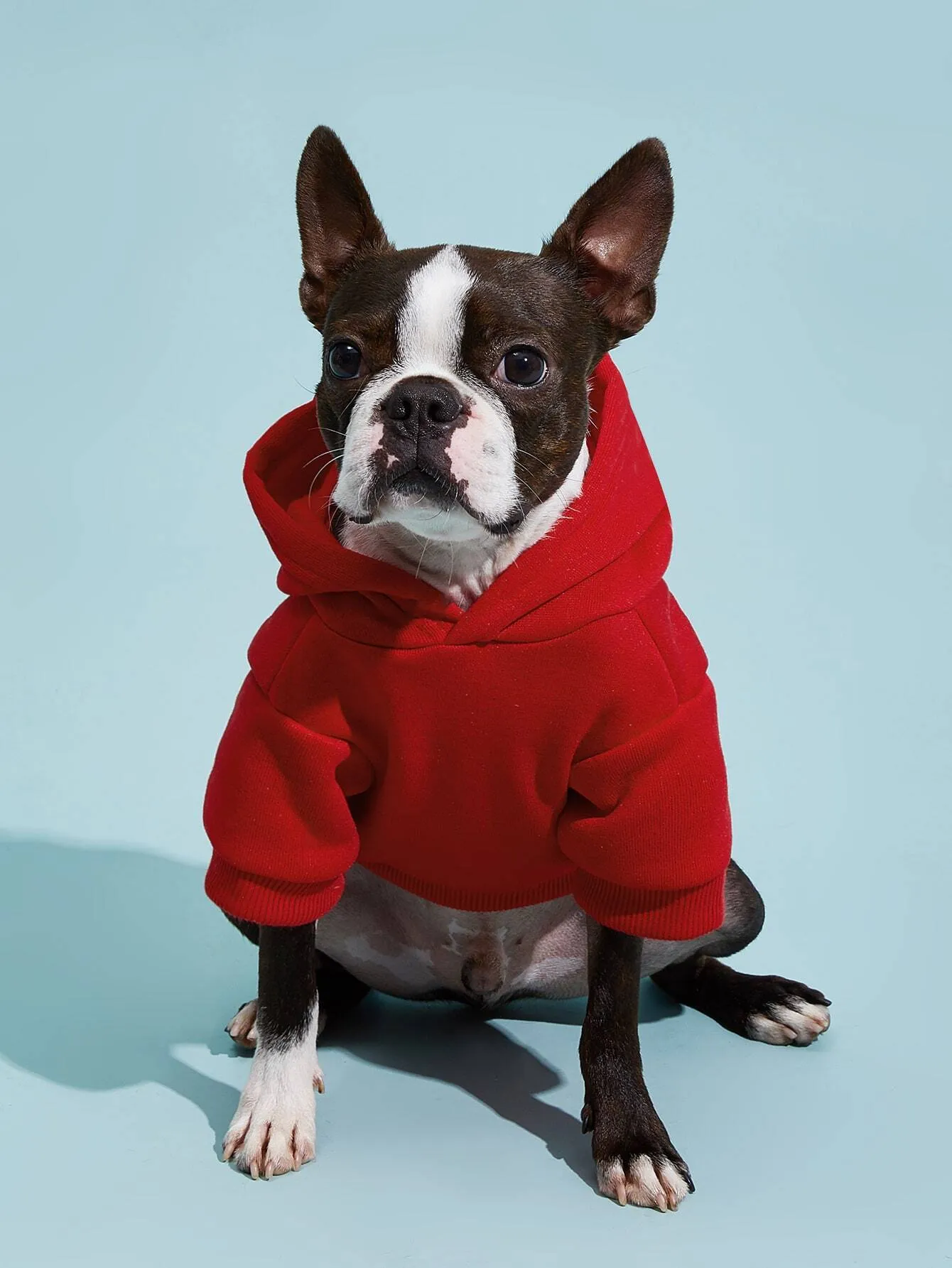 PETSIN 1pc Pet Khaki Sweatshirt