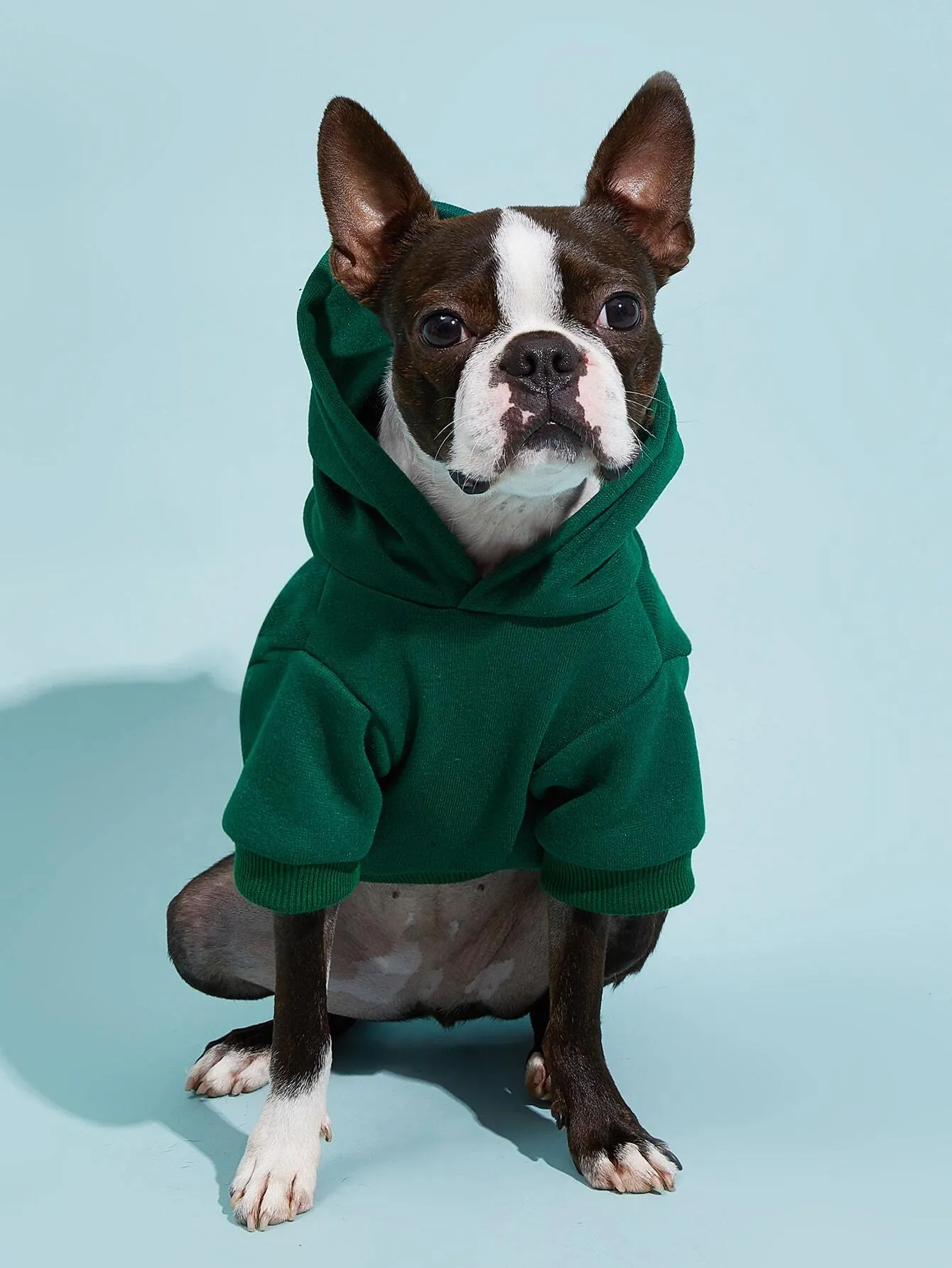 PETSIN 1pc Pet Khaki Sweatshirt