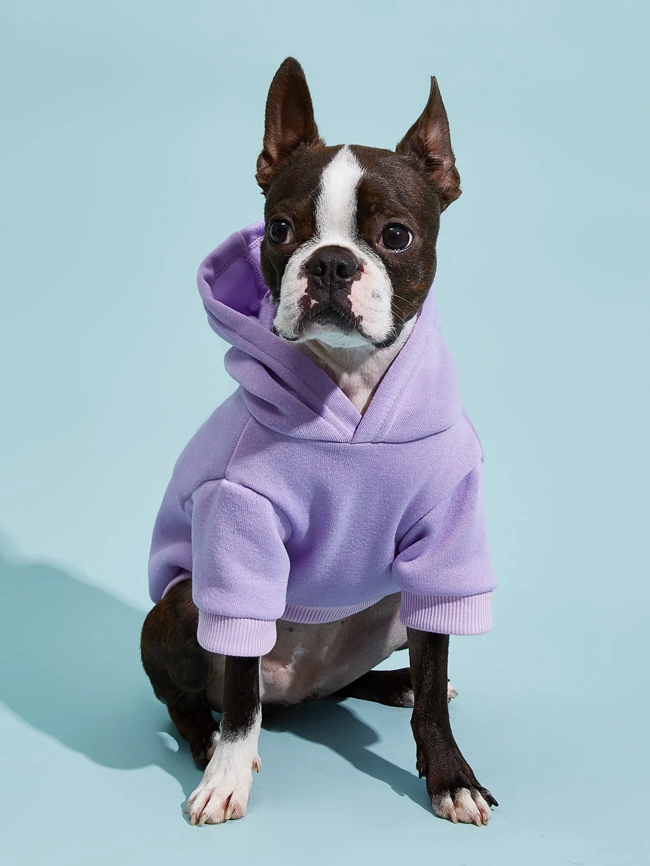 PETSIN 1pc Pet Khaki Sweatshirt