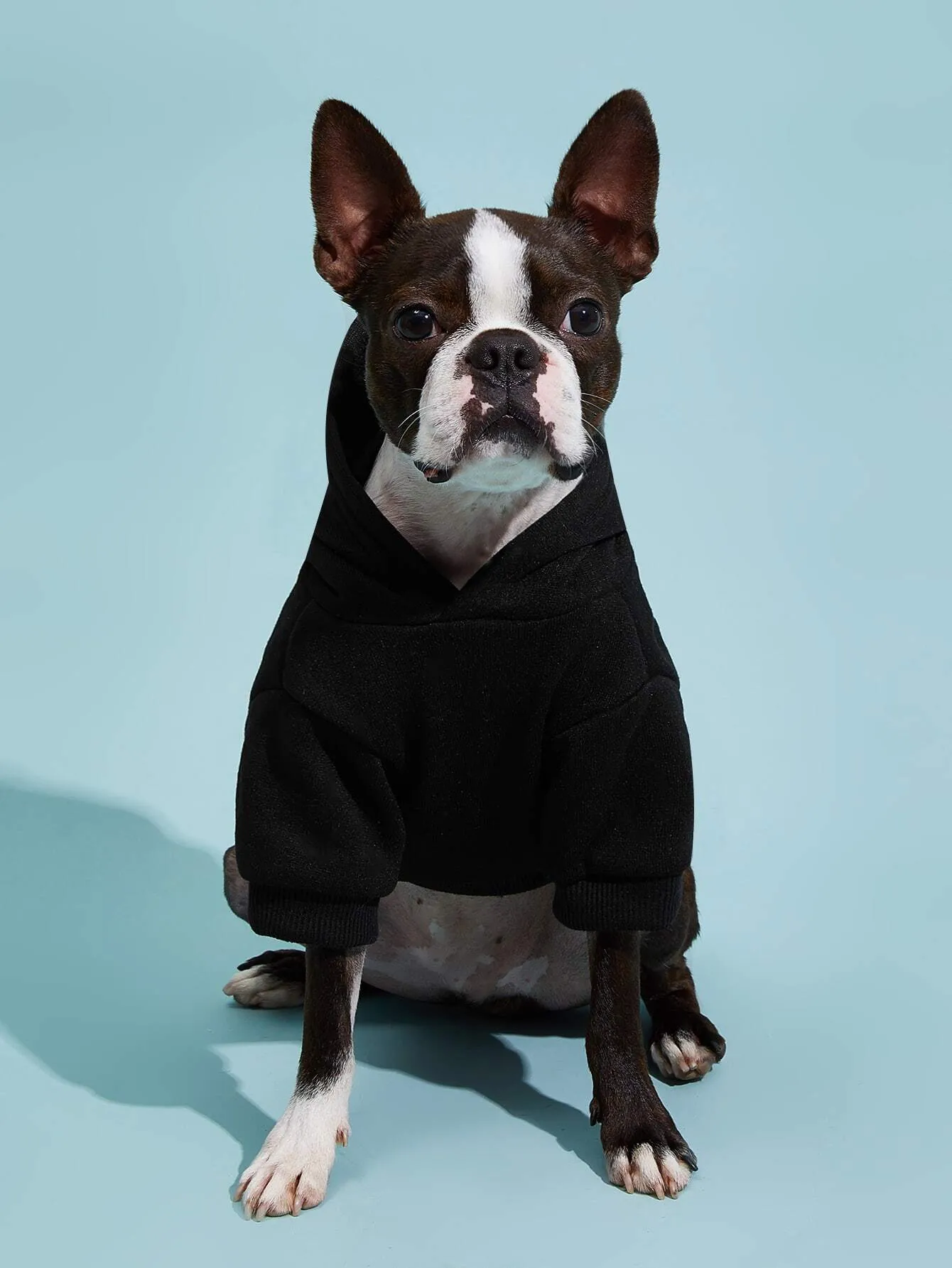 PETSIN 1pc Pet Khaki Sweatshirt