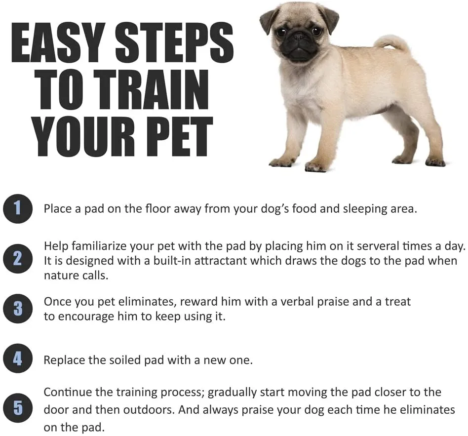 Puppy Pads Leak-Proof 100 Count 22"X 22" | Pee Pads for Dogs Quick Absorb 6-Layer- Dog Pee Pads- Dog Pads 100 Pack- Potty Pads for Dogs- Puppy Pee Pads, Pee Pad Training Pads for Dogs, Pet Pee Pads