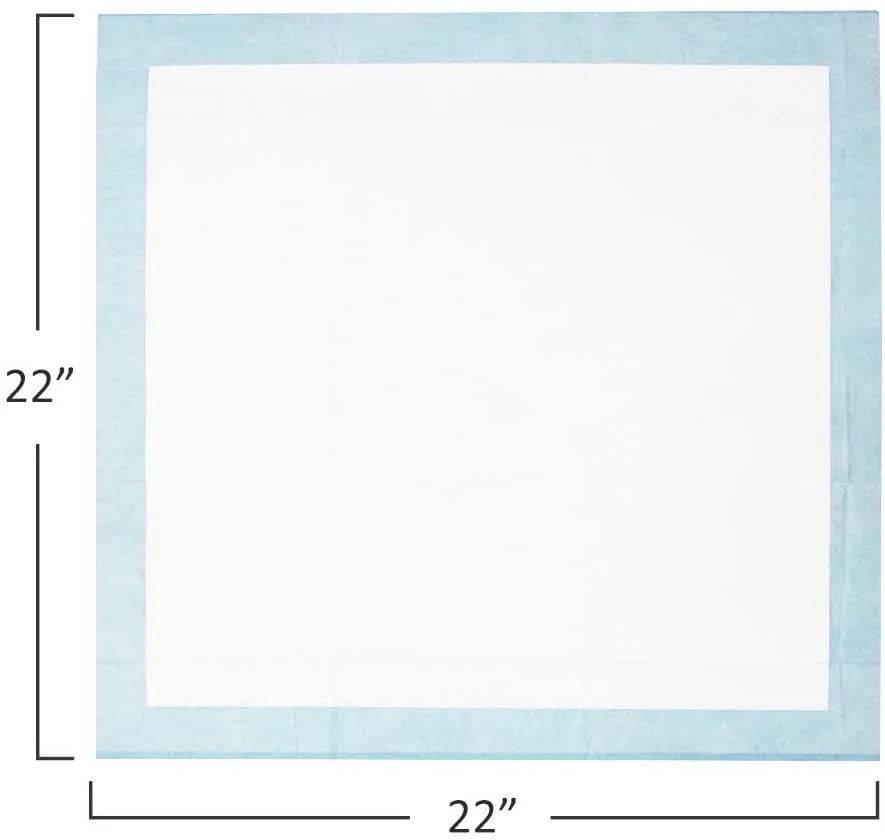 Puppy Pads Leak-Proof 100 Count 22"X 22" | Pee Pads for Dogs Quick Absorb 6-Layer- Dog Pee Pads- Dog Pads 100 Pack- Potty Pads for Dogs- Puppy Pee Pads, Pee Pad Training Pads for Dogs, Pet Pee Pads