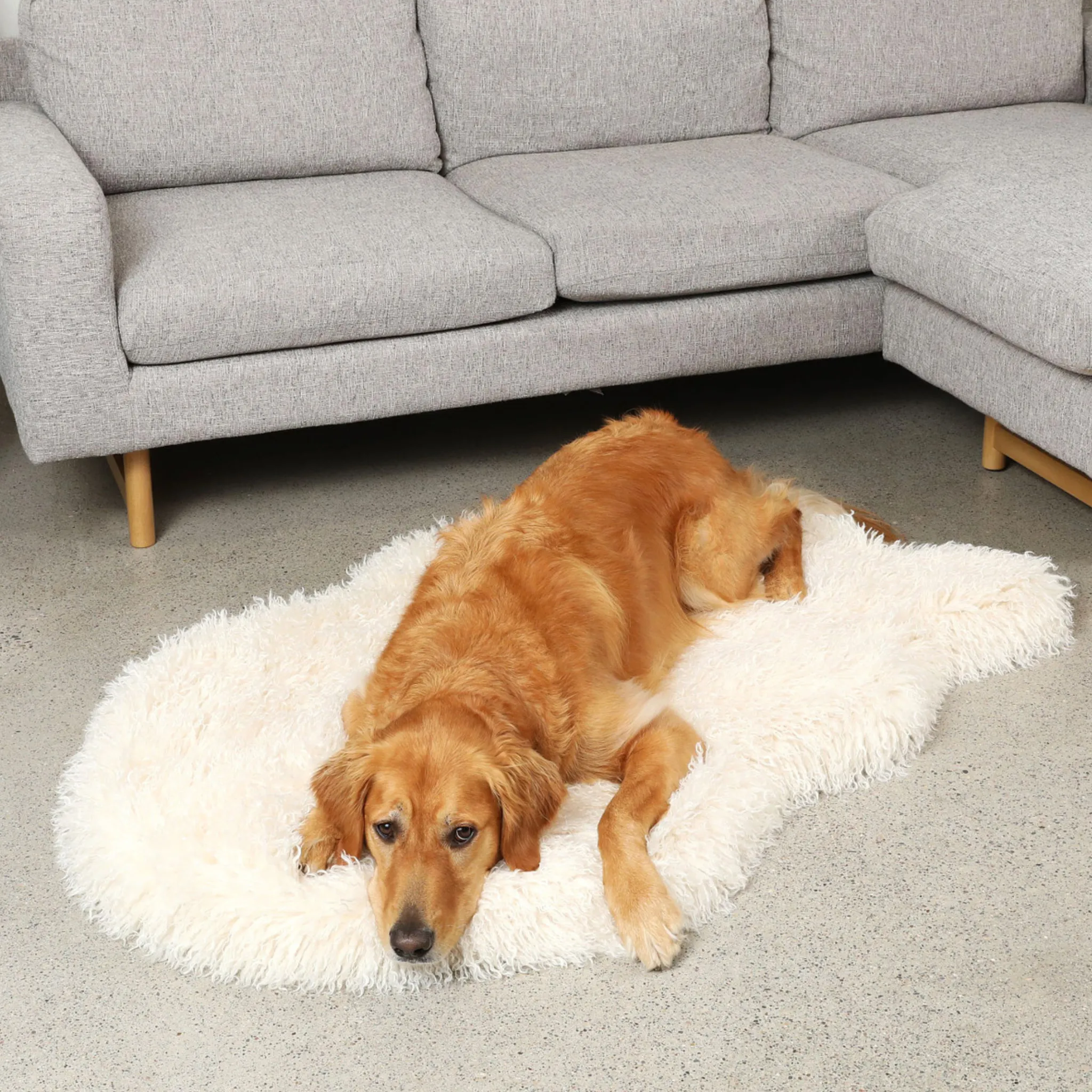 PupRug™ Luxe Faux Fur Ivory Plush Sheep Orthopedic Dog Bed   FREE Holiday Plaid Bed Cover