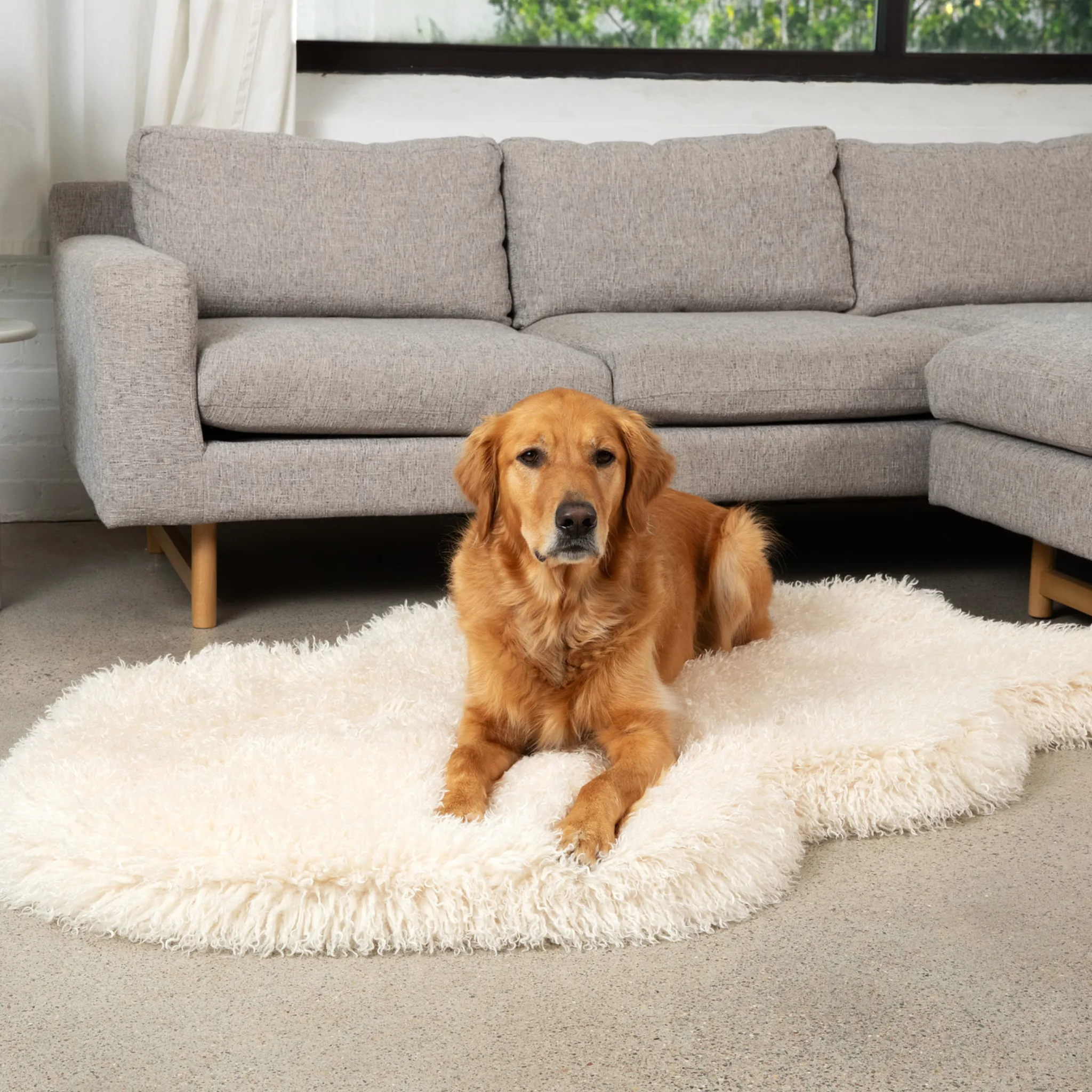 PupRug™ Luxe Faux Fur Ivory Plush Sheep Orthopedic Dog Bed   FREE Holiday Plaid Bed Cover